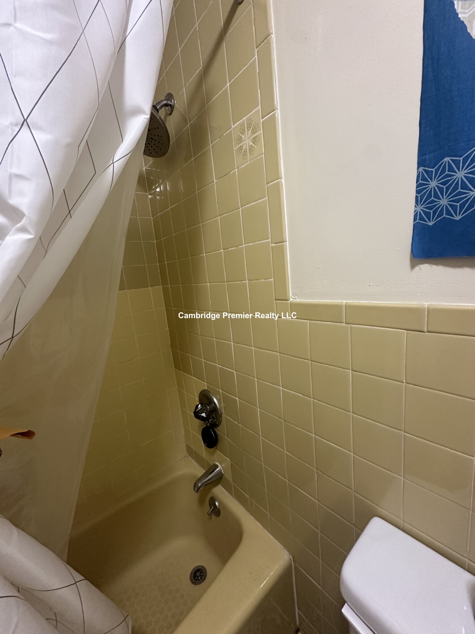 https://ygl-photos.s3.us-west-004.backblazeb2.com/8756W66626fbc82b16.jpg
