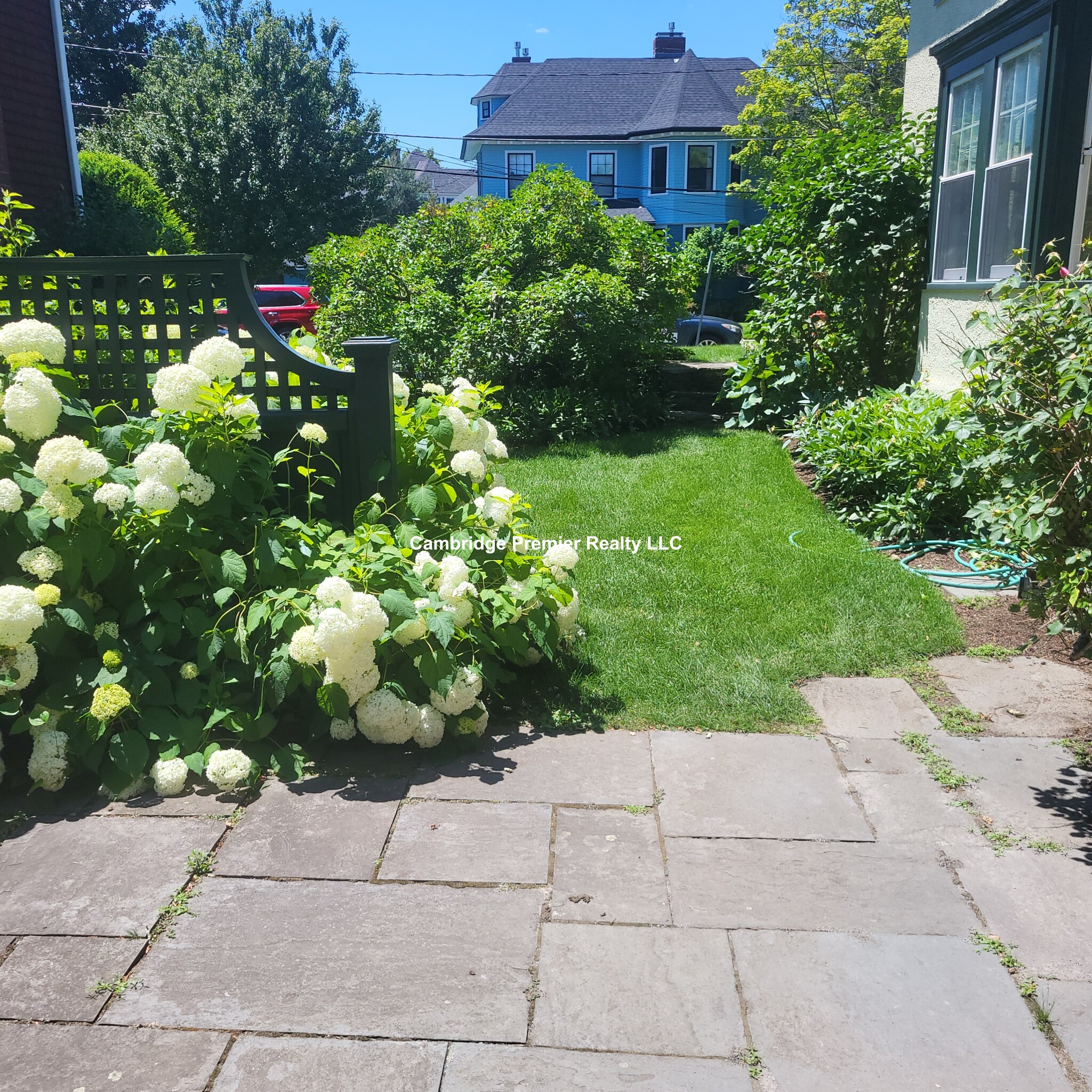 49 Willow St, Belmont