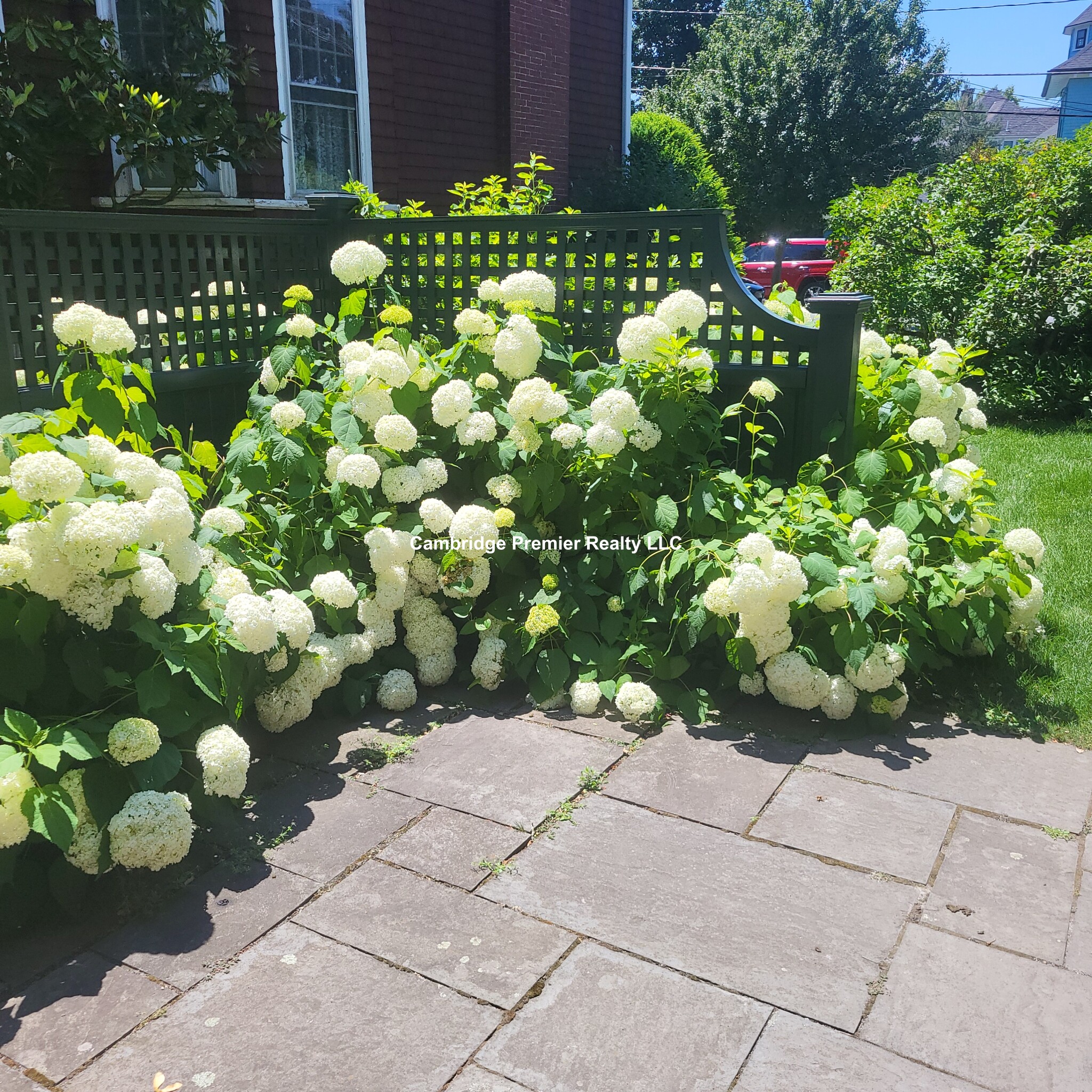 49 Willow St, Belmont