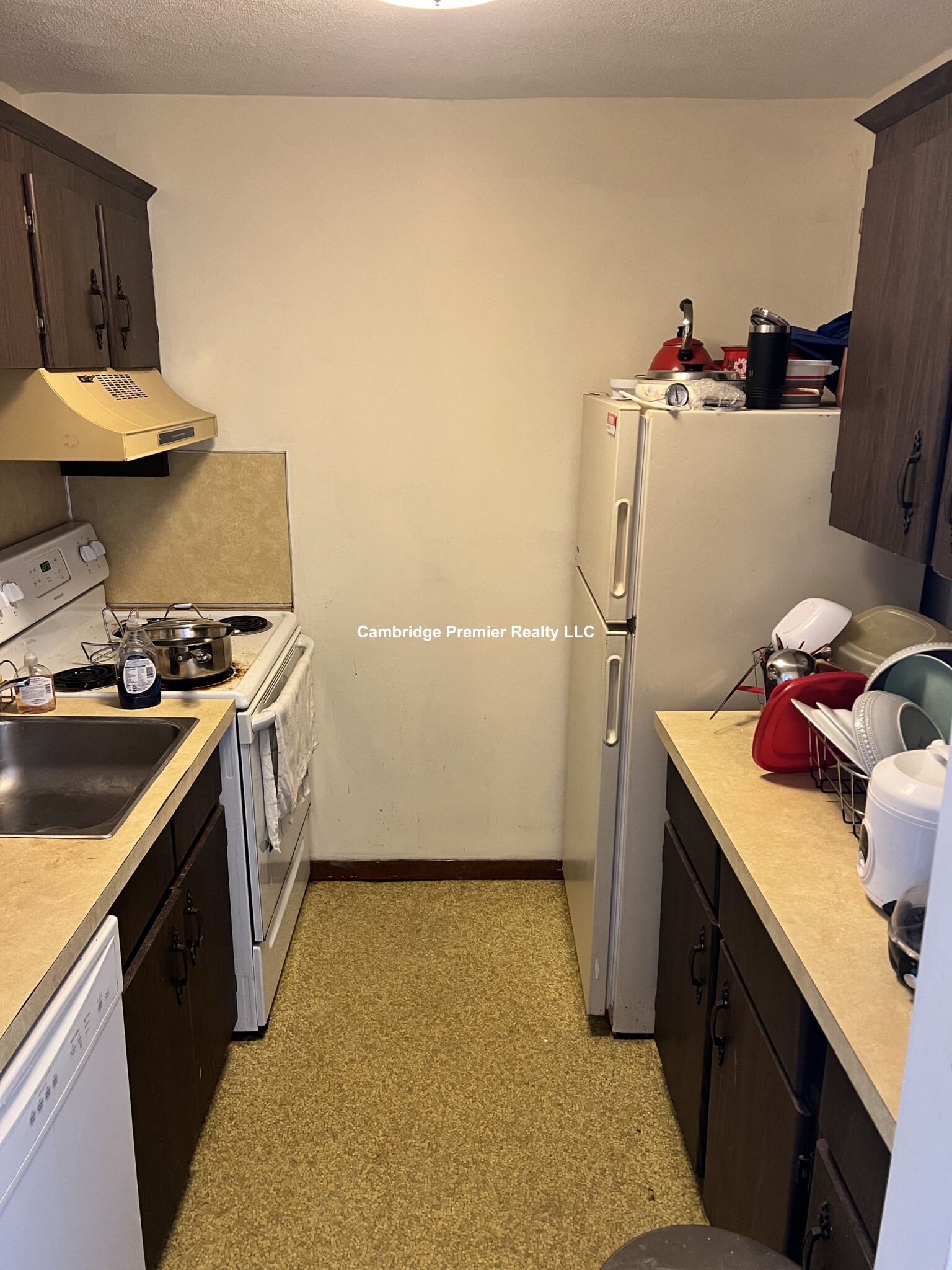 11 Adelaide Rd, Spring Hill