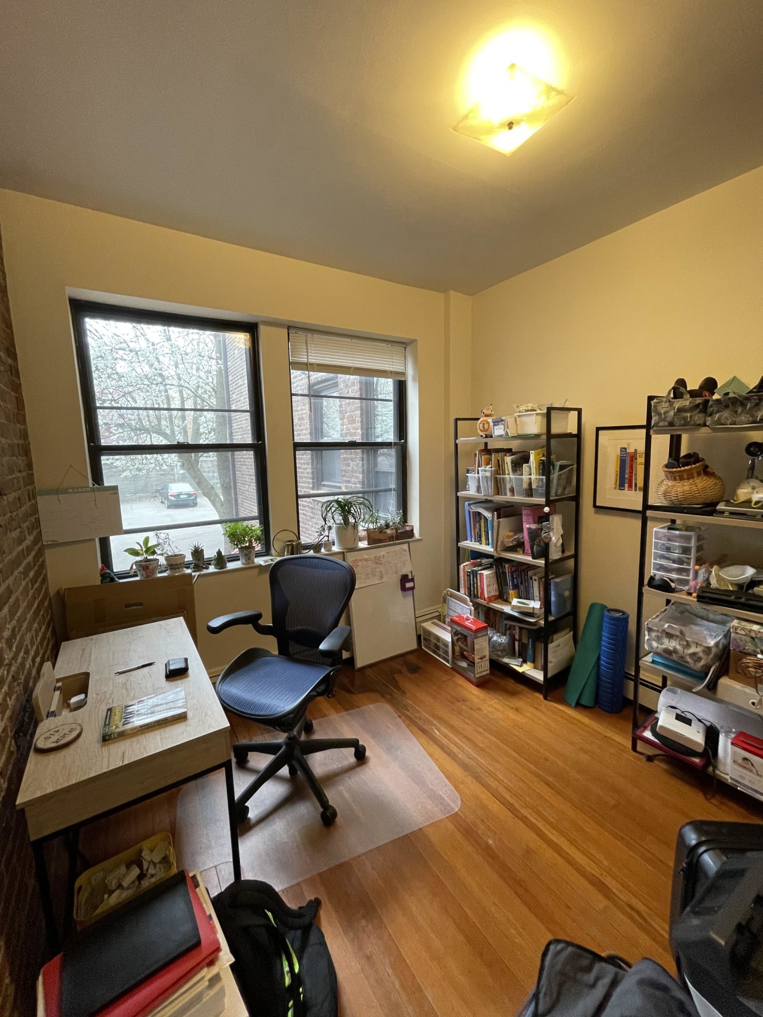 11 Stearns Rd, Coolidge Corner