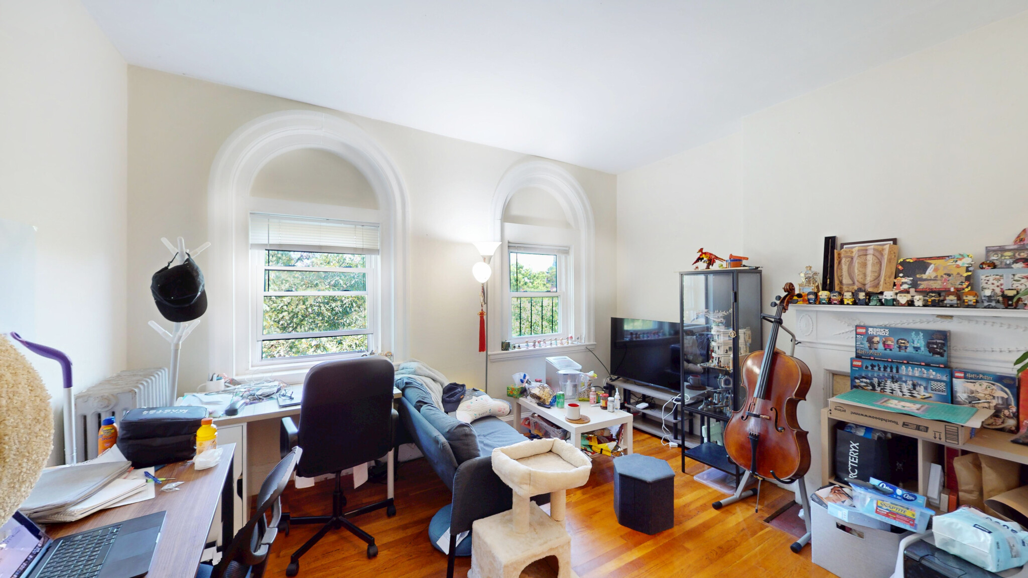 Brookline, MA 02446