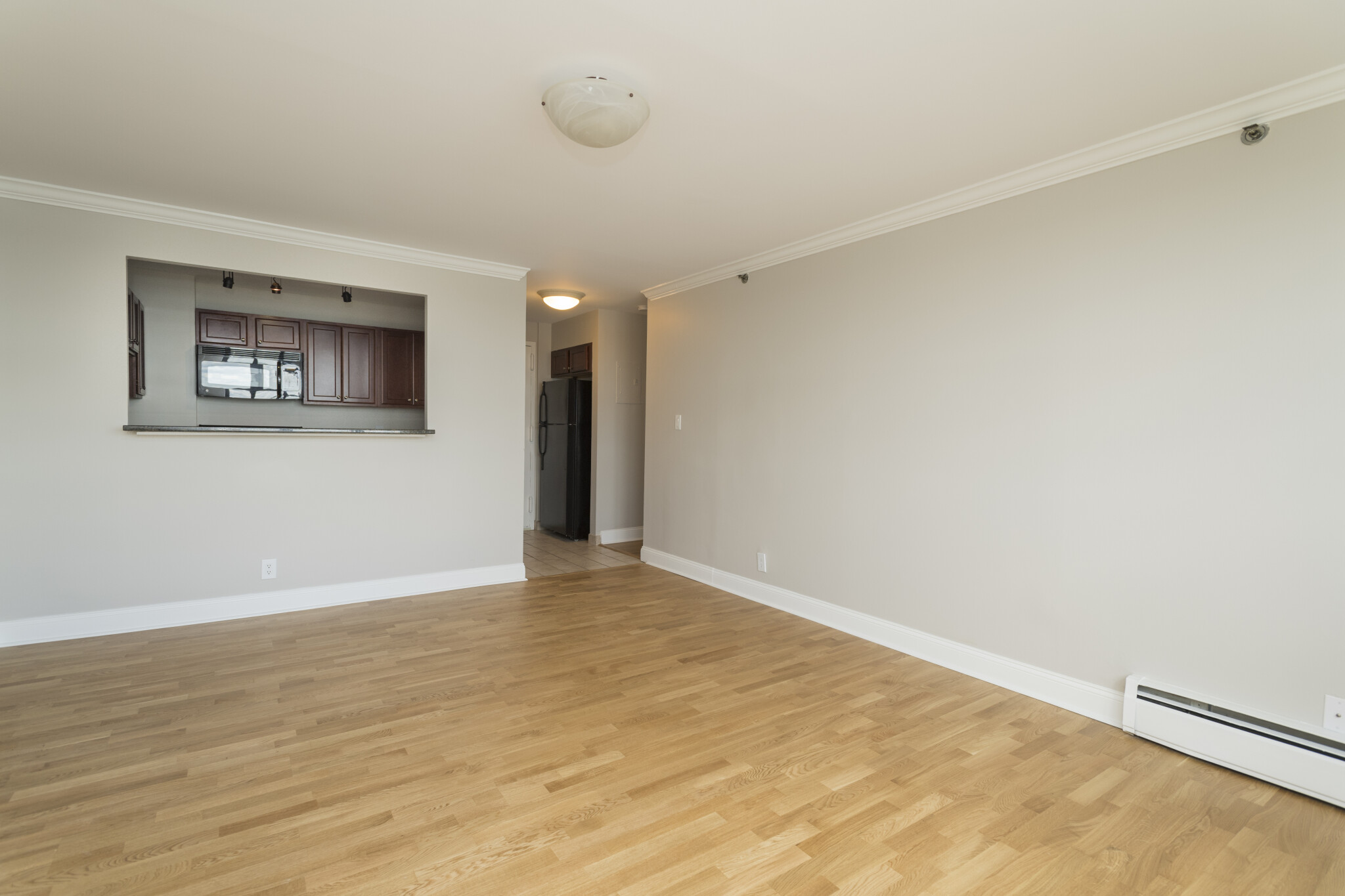Concept Properties