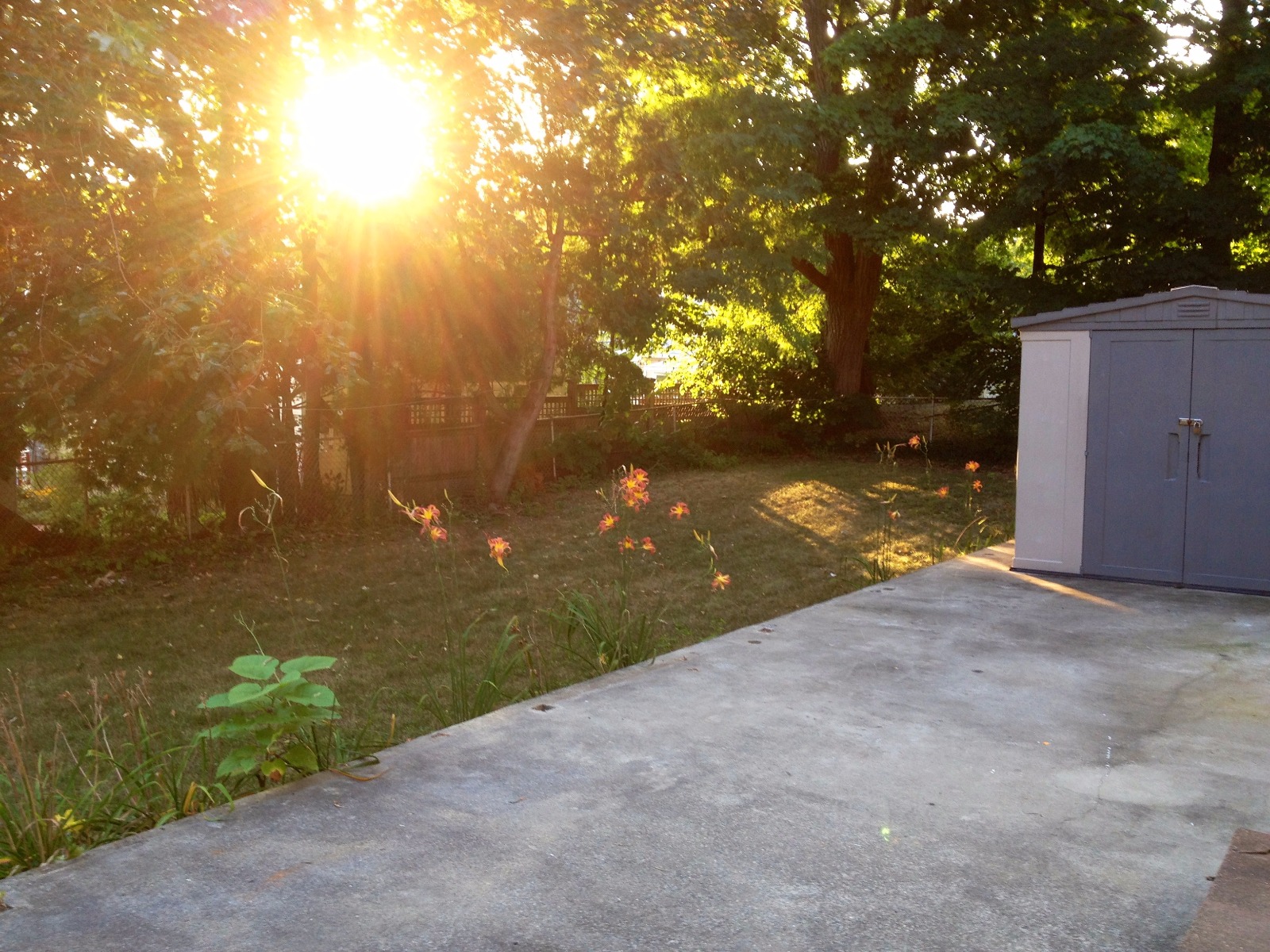 Photos of apartment on Larch St.,Boston MA 02135