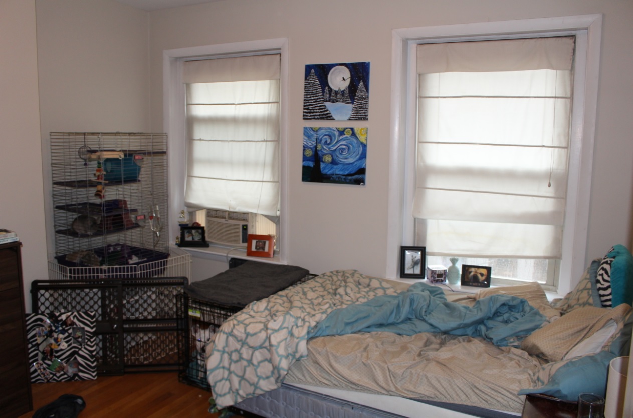 15 University Rd, Washington Square