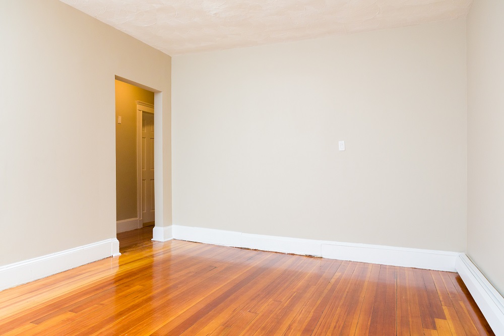 12 Estrella St, Jamaica Plain