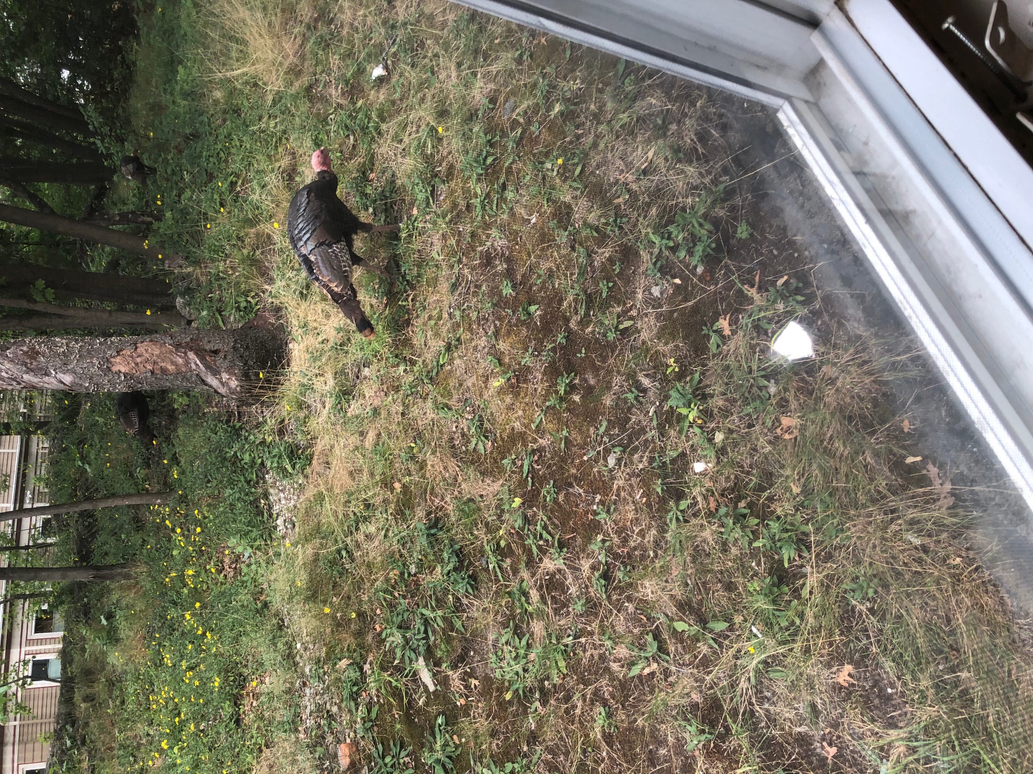 Photos of apartment on Logan,Boston MA 02119