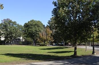 3 bed, 1 bath apartment for rent at 83 Francis St Unit 3, Coolidge Corner — photo 12 of 12