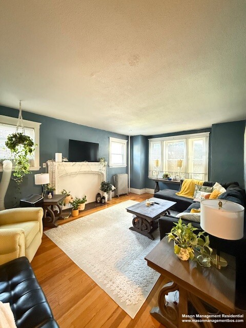 Concept Properties
