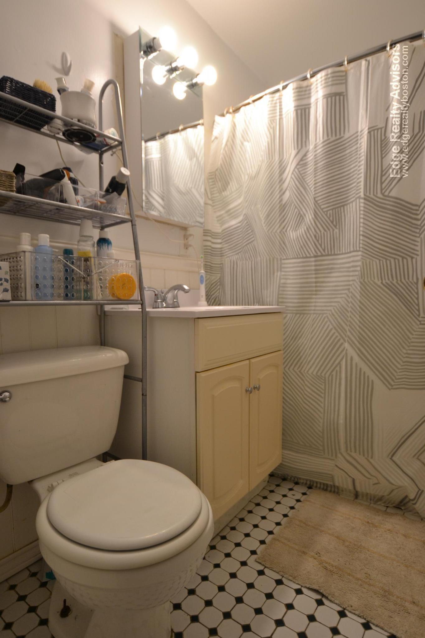 6 bed, 2 bath apartment for rent at 322 Saint Paul St Unit 3, Brookline — photo 6 of 12