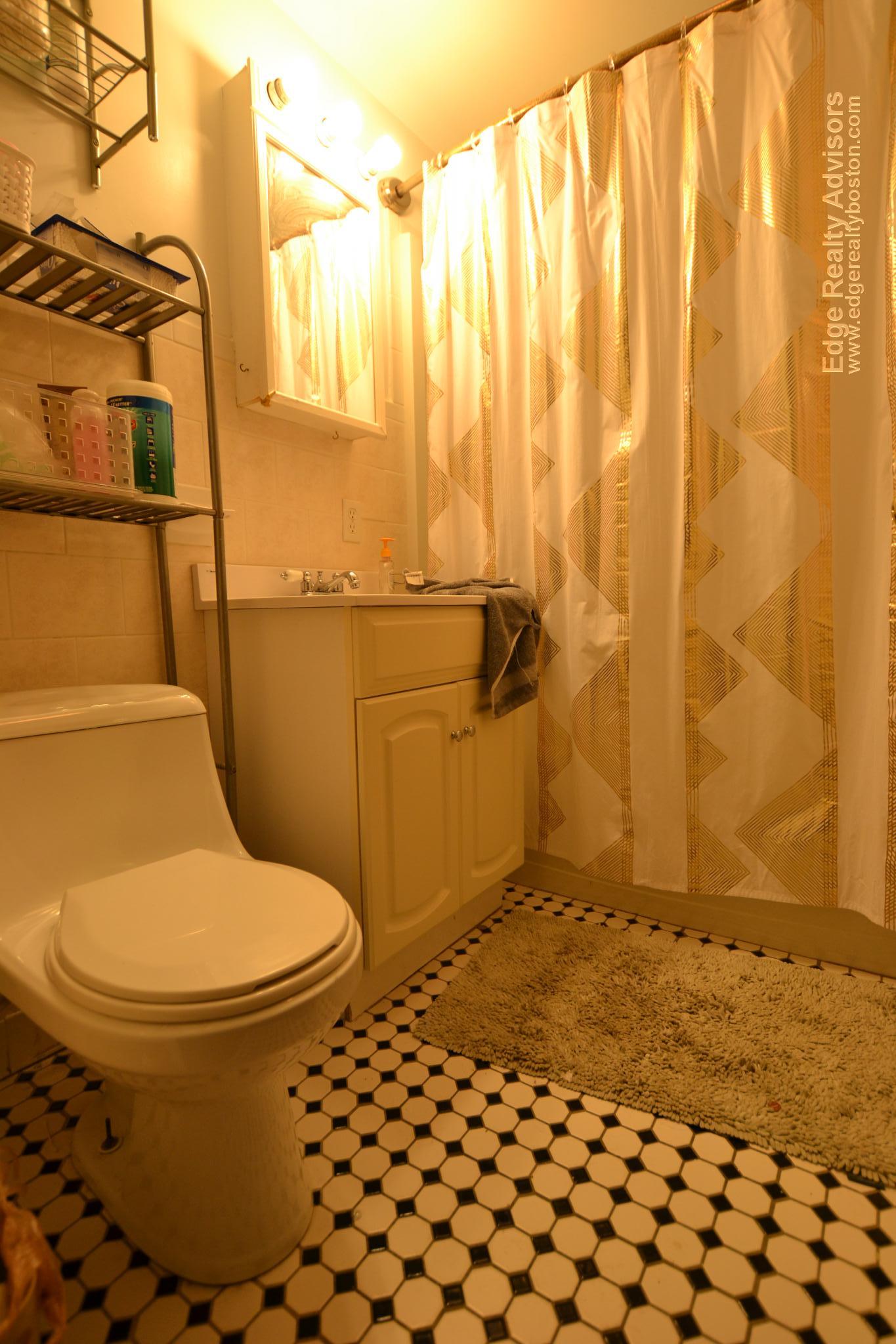 6 bed, 2 bath apartment for rent at 322 Saint Paul St Unit 3, Brookline — photo 11 of 12