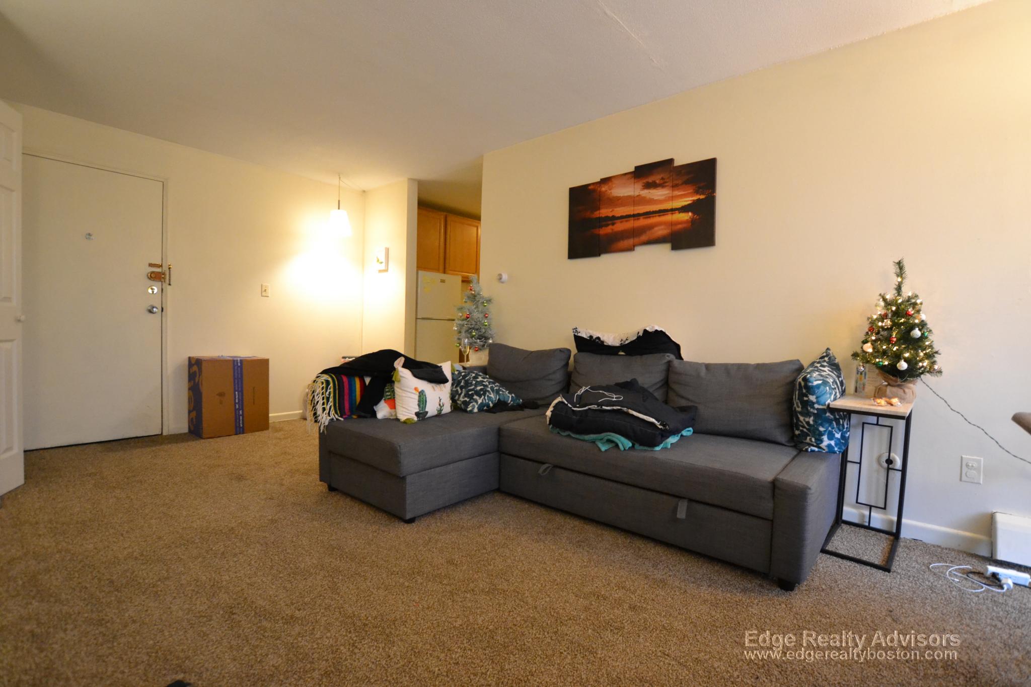 1 bed, 1 bath apartment for rent at 144 Kenrick St Unit 20, Brighton — photo 5 of 7