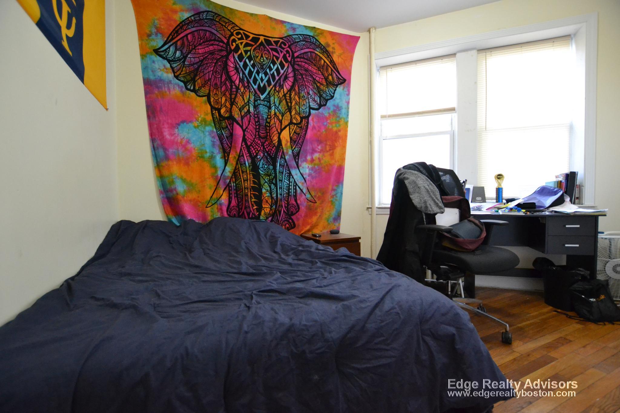 62 Egmont St, Longwood