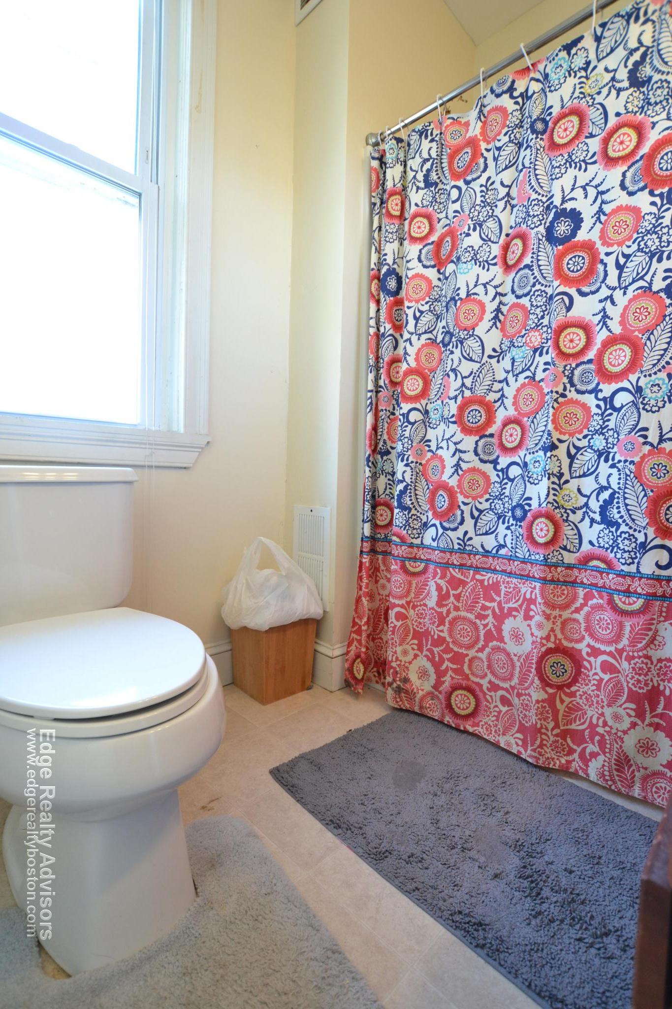 5 bed, 4+ bath apartment for rent at 9 Murdock Ter Unit 1, Brighton — photo 6 of 13