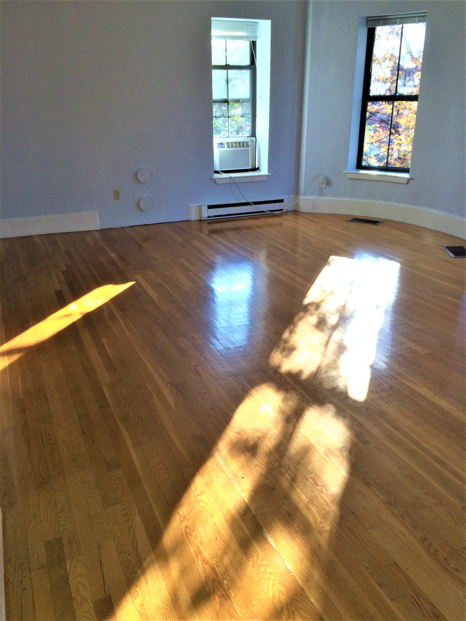 1 bed, 1 bath apartment for rent at 533-535 Columbus Unit 7, Boston — photo 9 of 10
