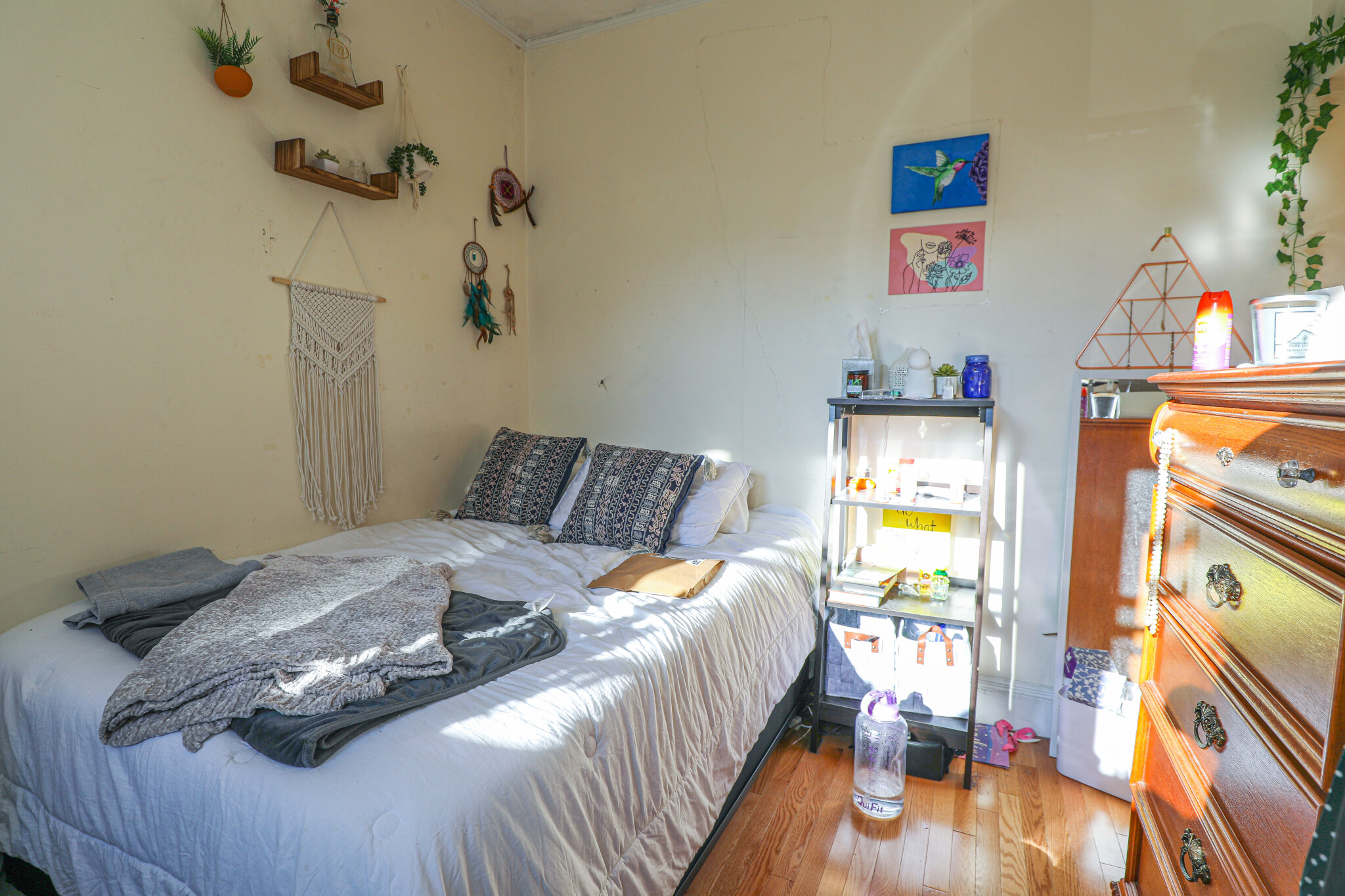 54 Egmont St, Longwood