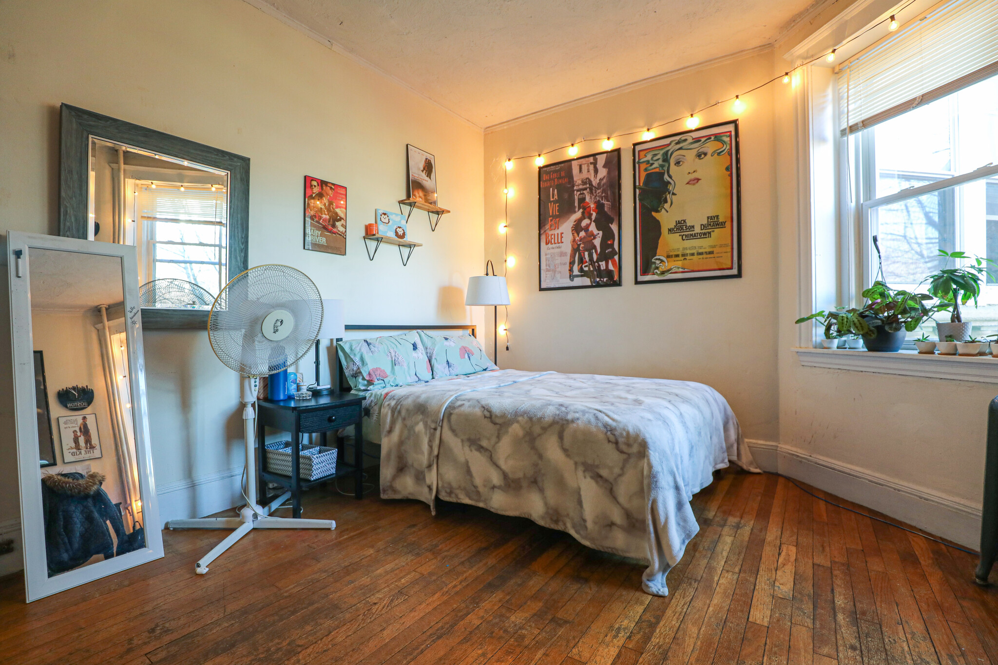 54 Egmont St, Longwood