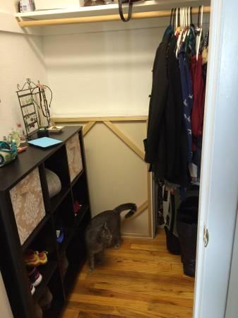 15 Euston Rd, Brighton