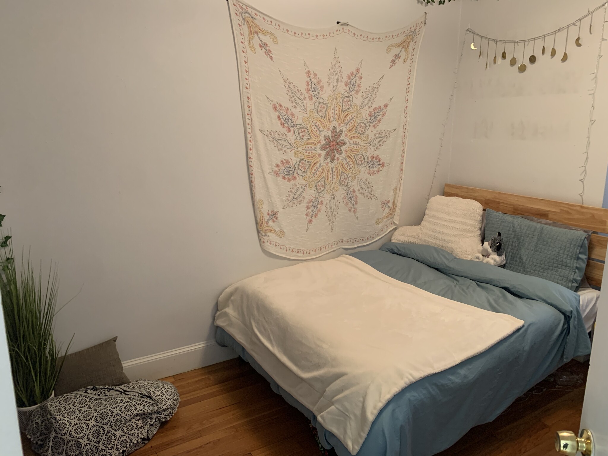 45 Westland Ave, Fenway