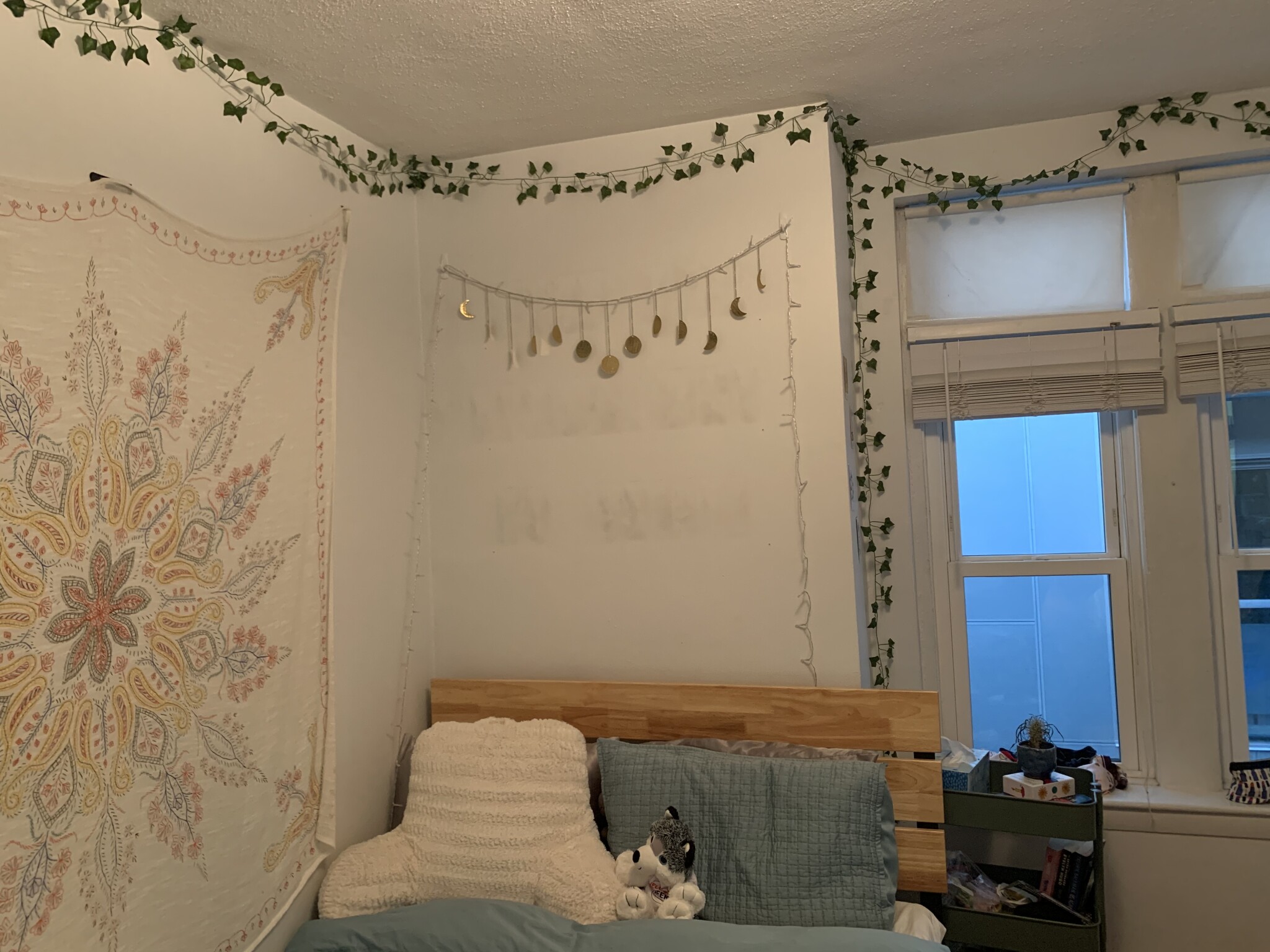 45 Westland Ave, Fenway