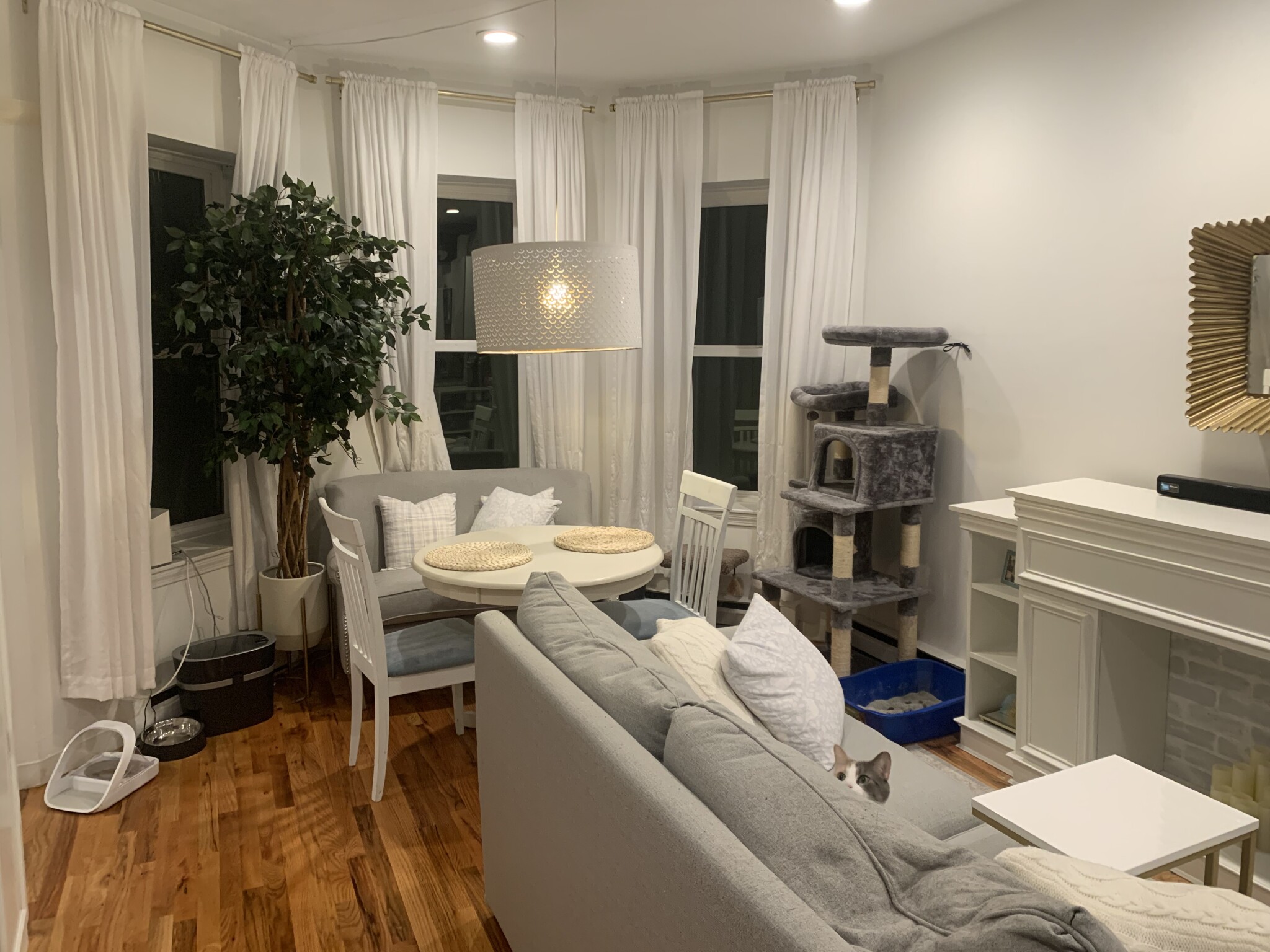 57 Westland Ave, Fenway