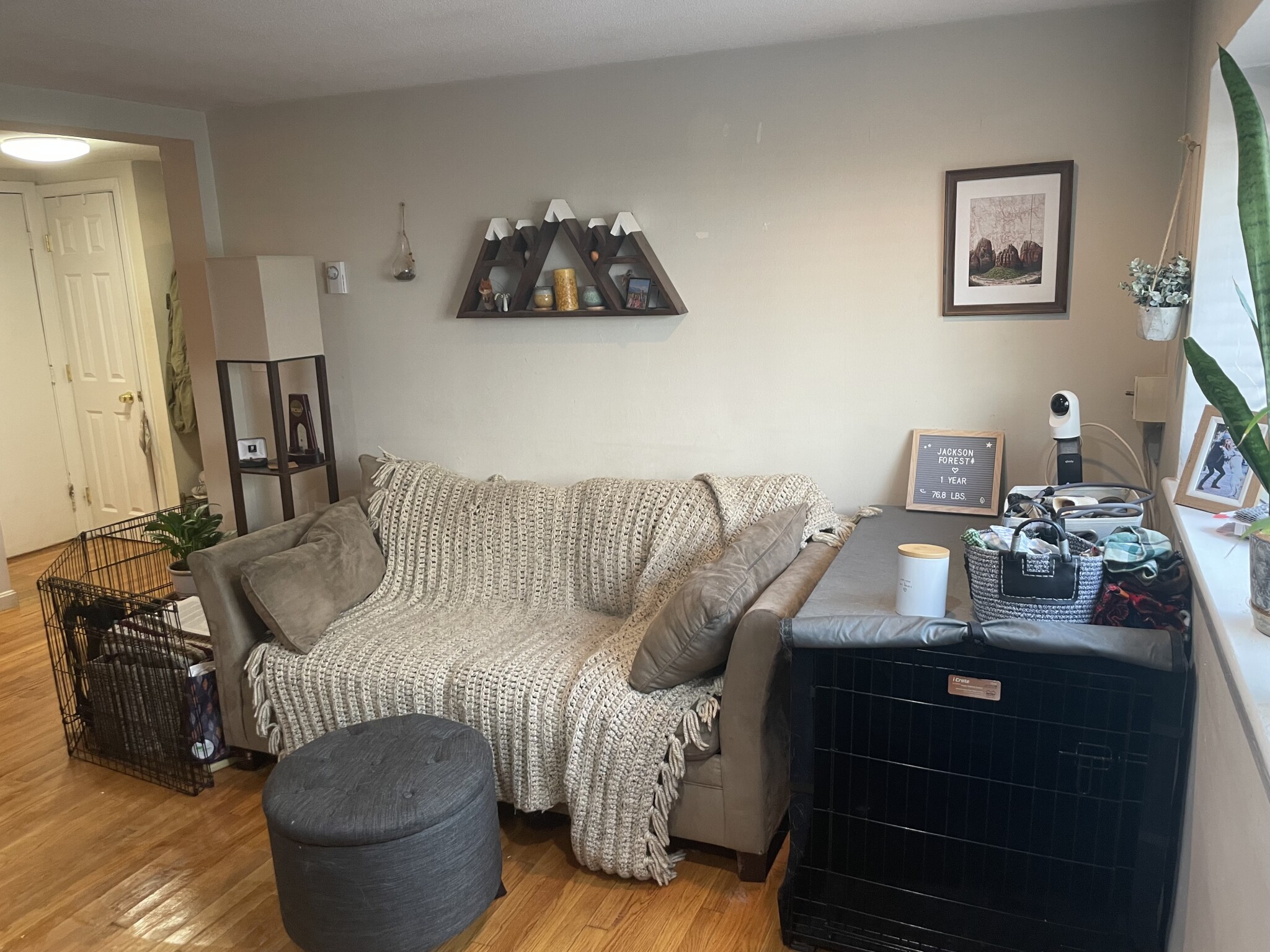 15 Euston Rd, Brighton