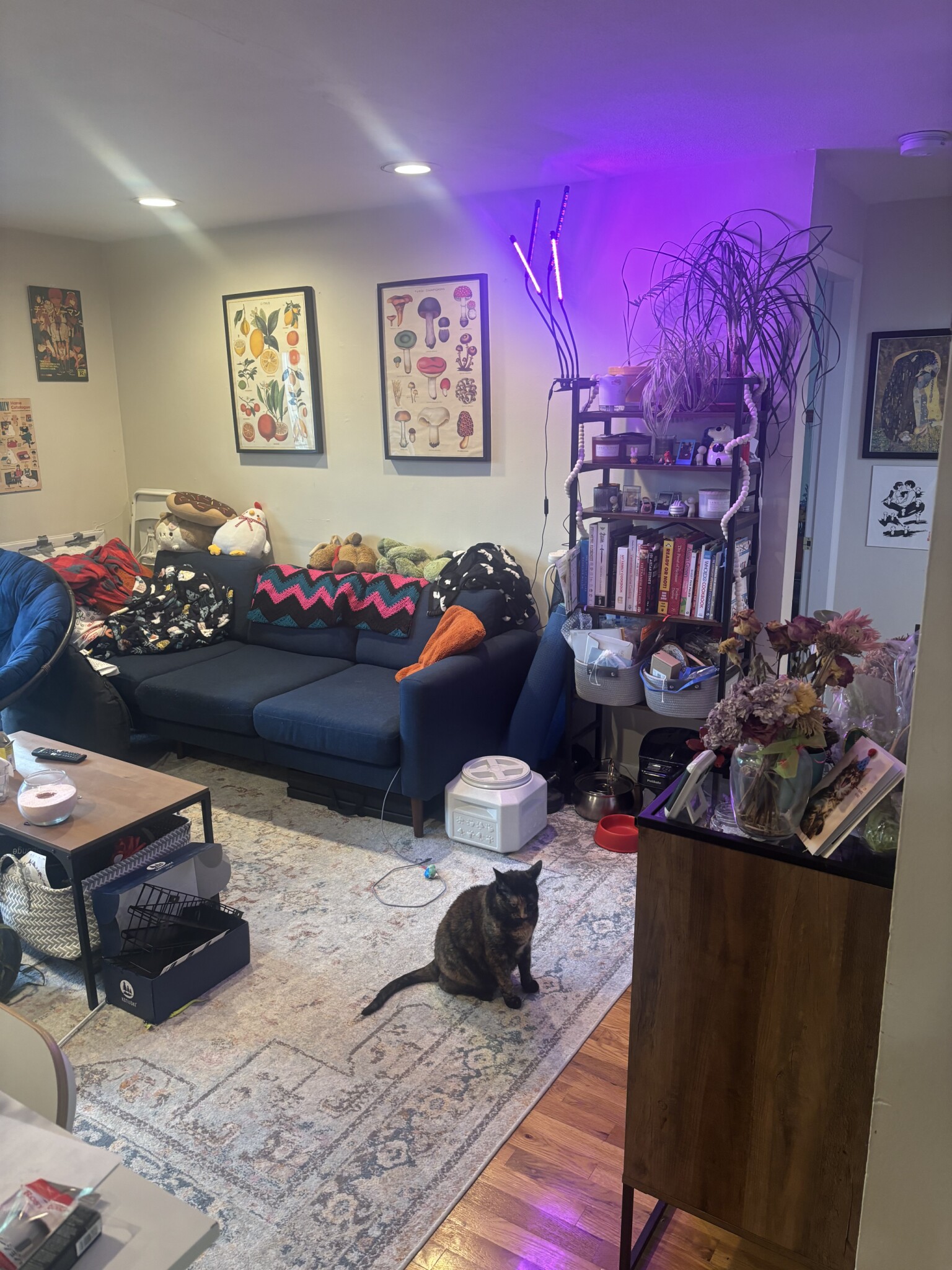 Rental image