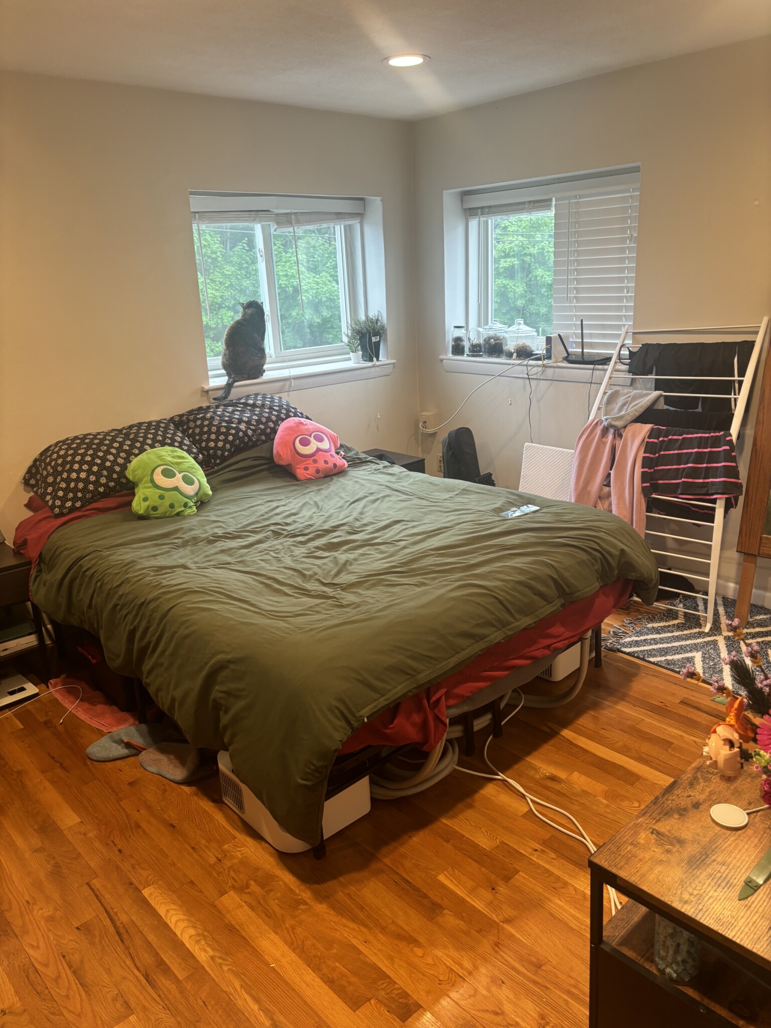 Rental image