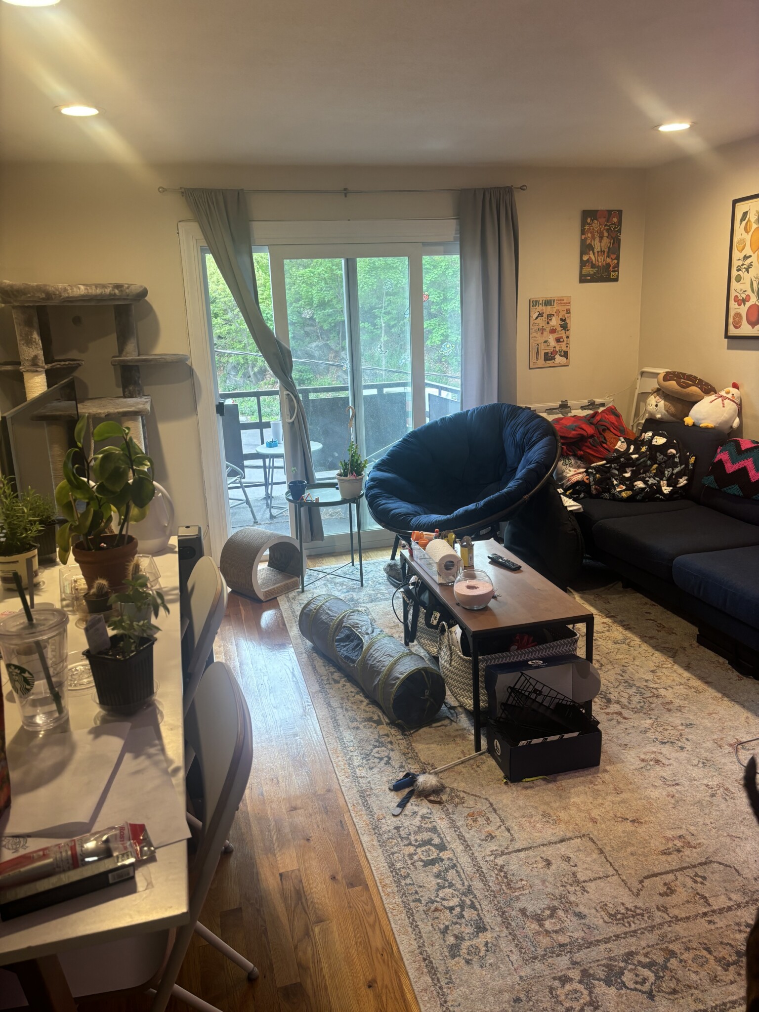 Rental image