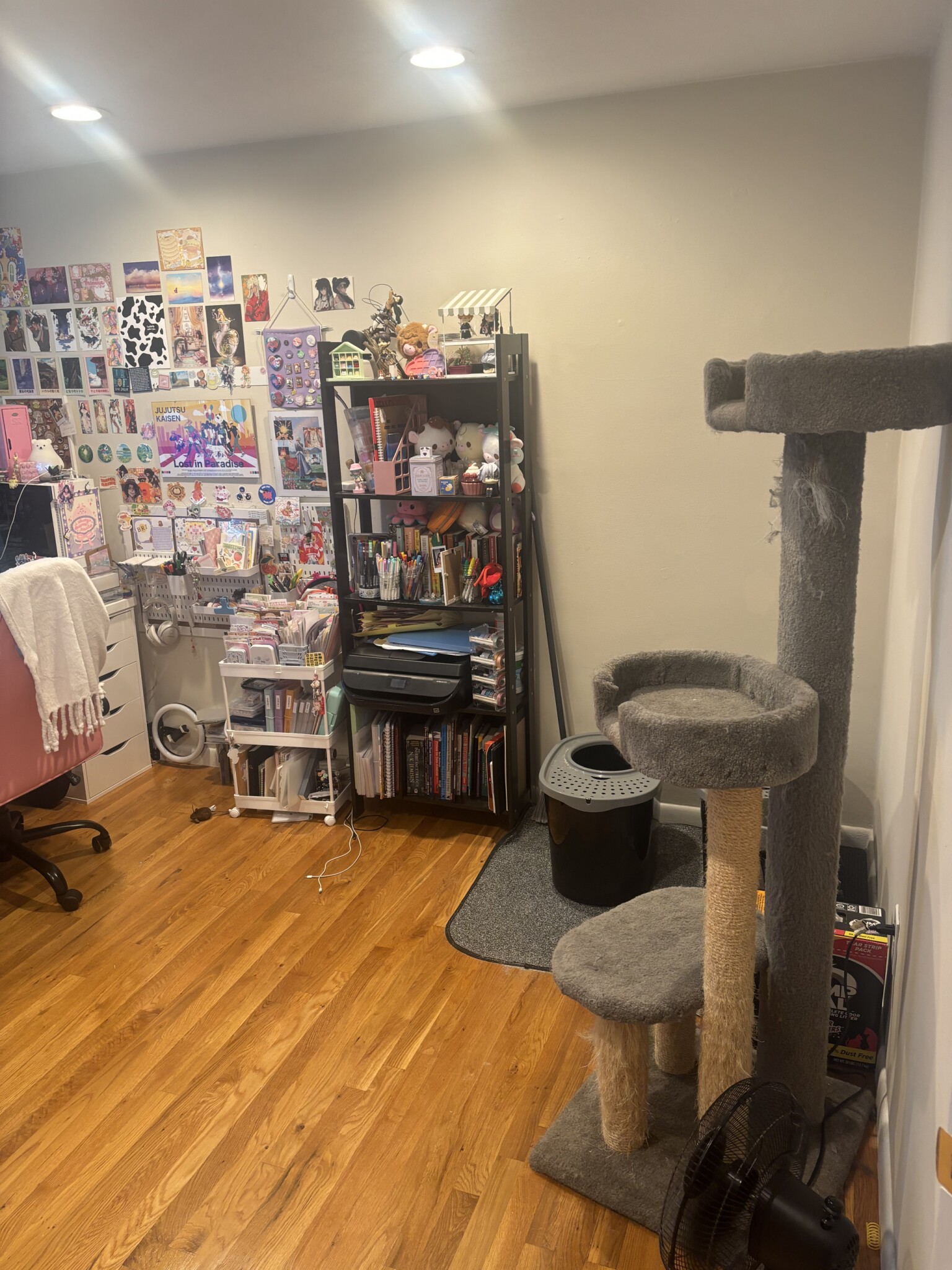 Rental image