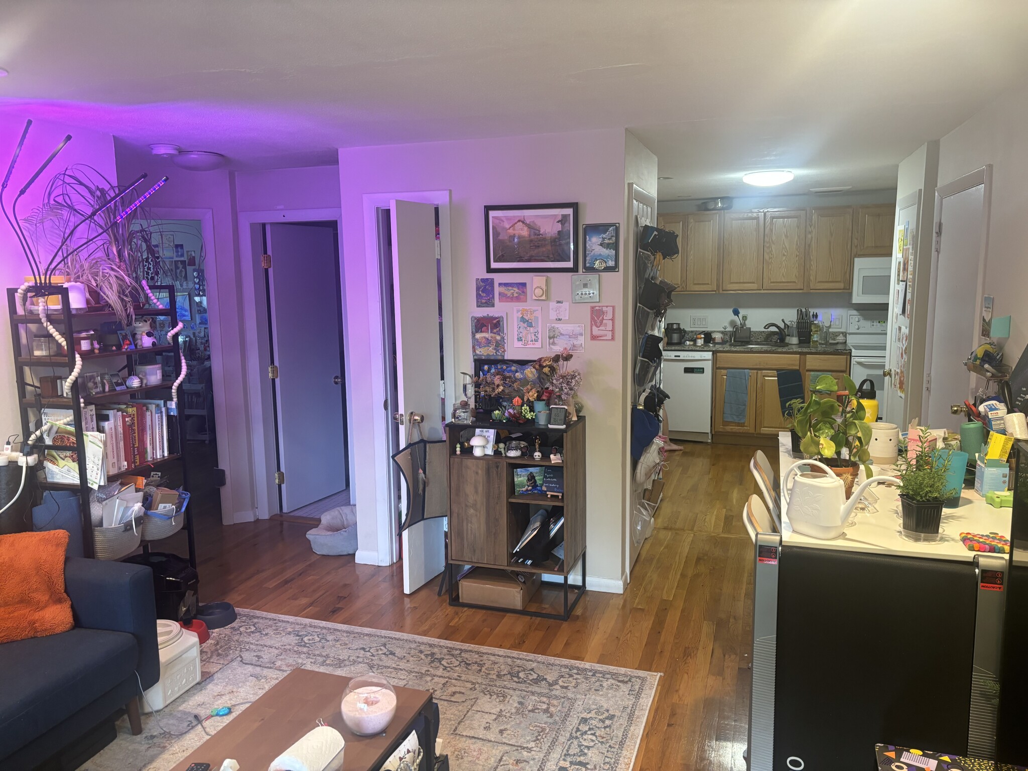 Rental image