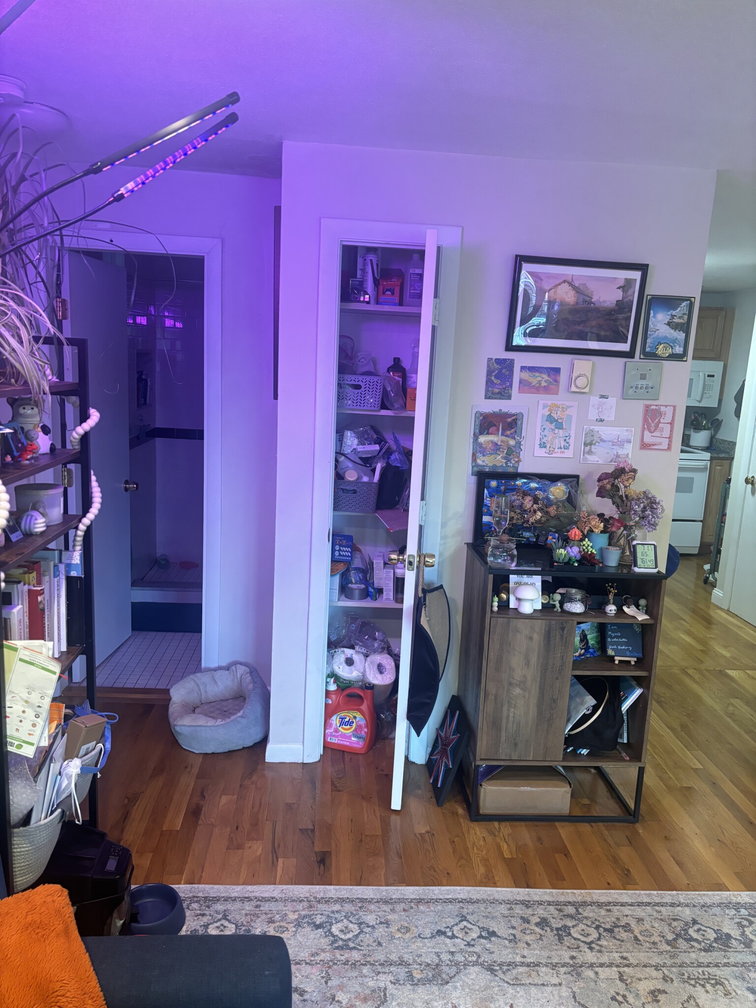 Rental image