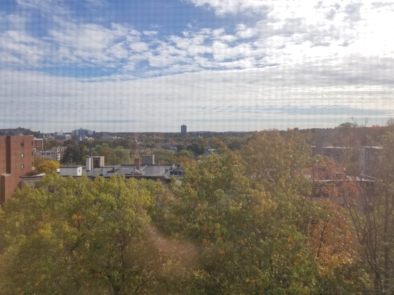 1470 Beacon St, Coolidge Corner