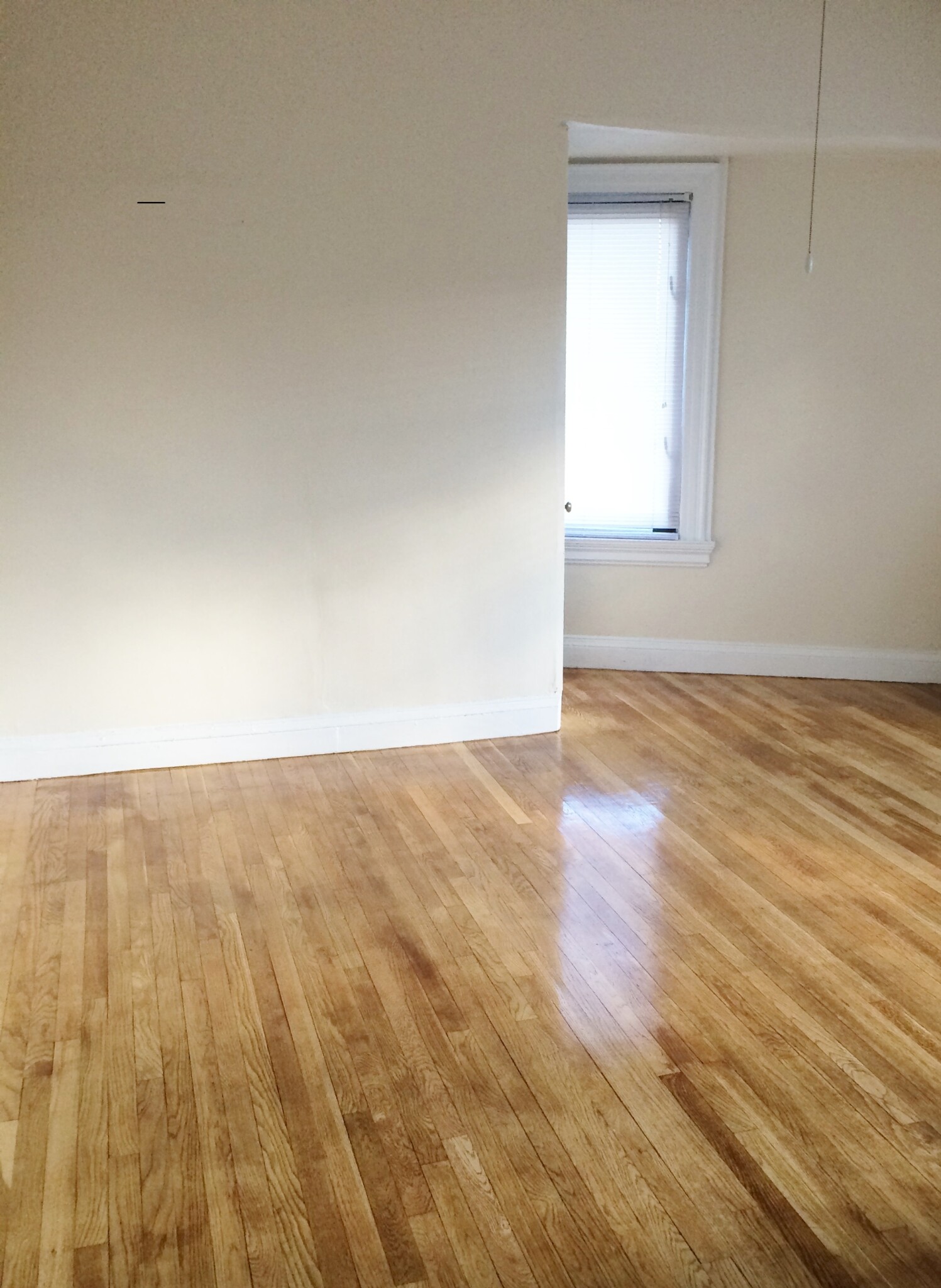 1470 Beacon St, Coolidge Corner