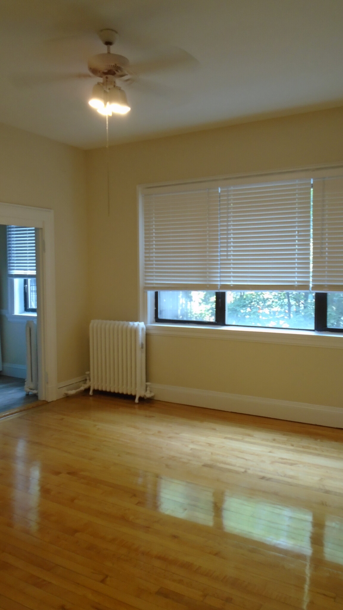 1470 Beacon St, Coolidge Corner