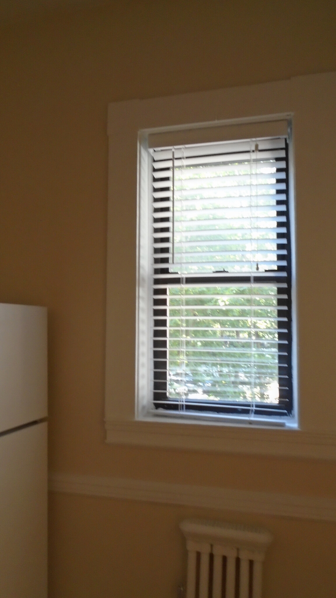 1470 Beacon St, Coolidge Corner