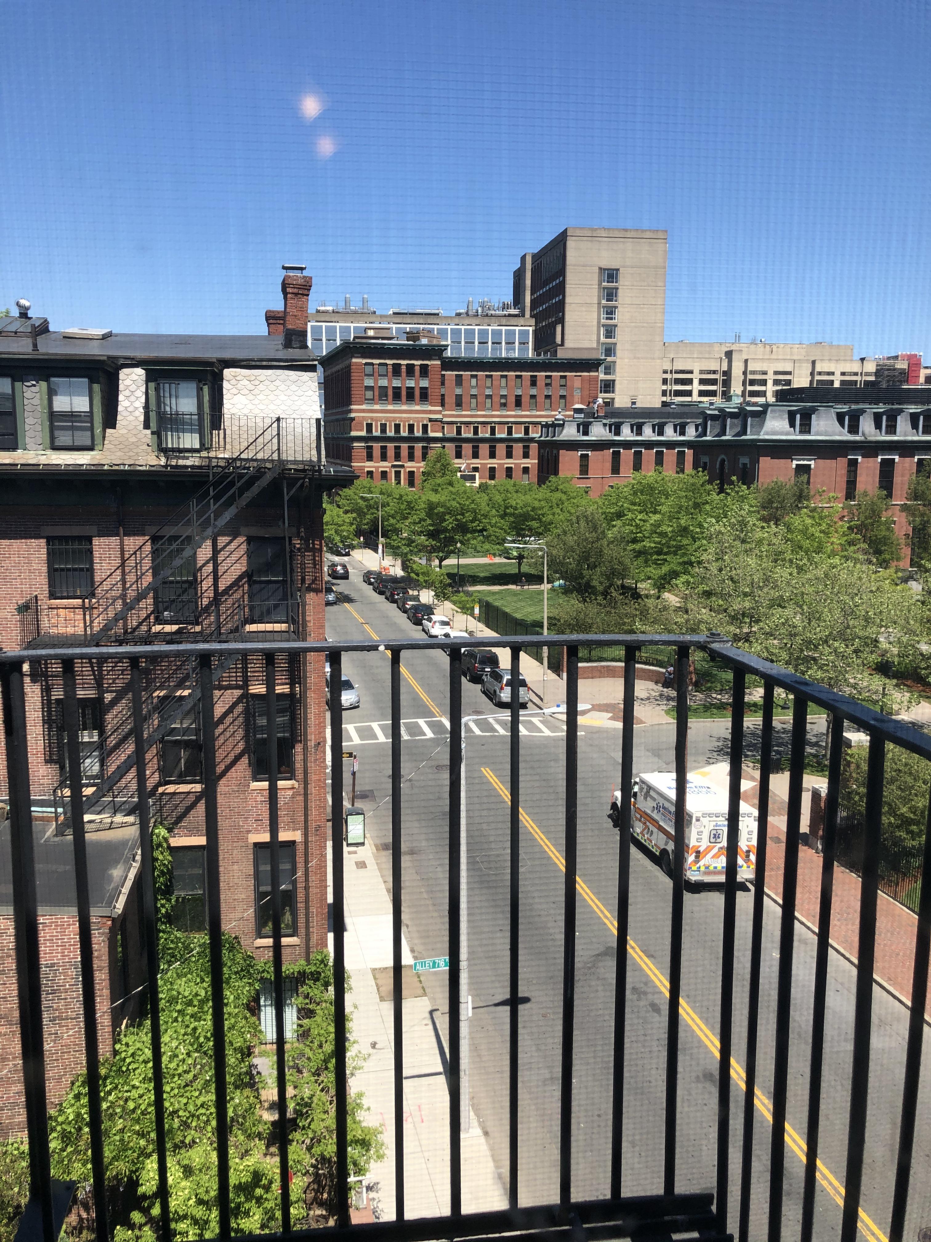 1 bed, 1 bath apartment for rent at 702 Massachusetts Ave Unit 8, South End — photo 7 of 12