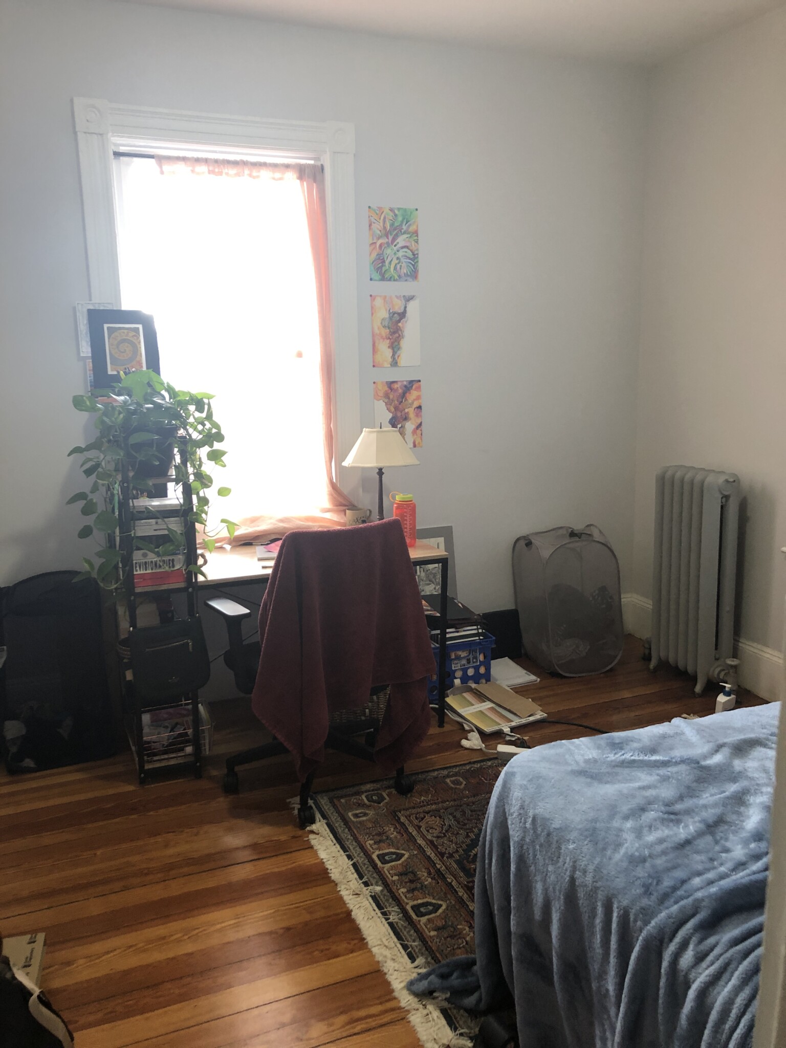 6 Bucknam St, Mission Hill