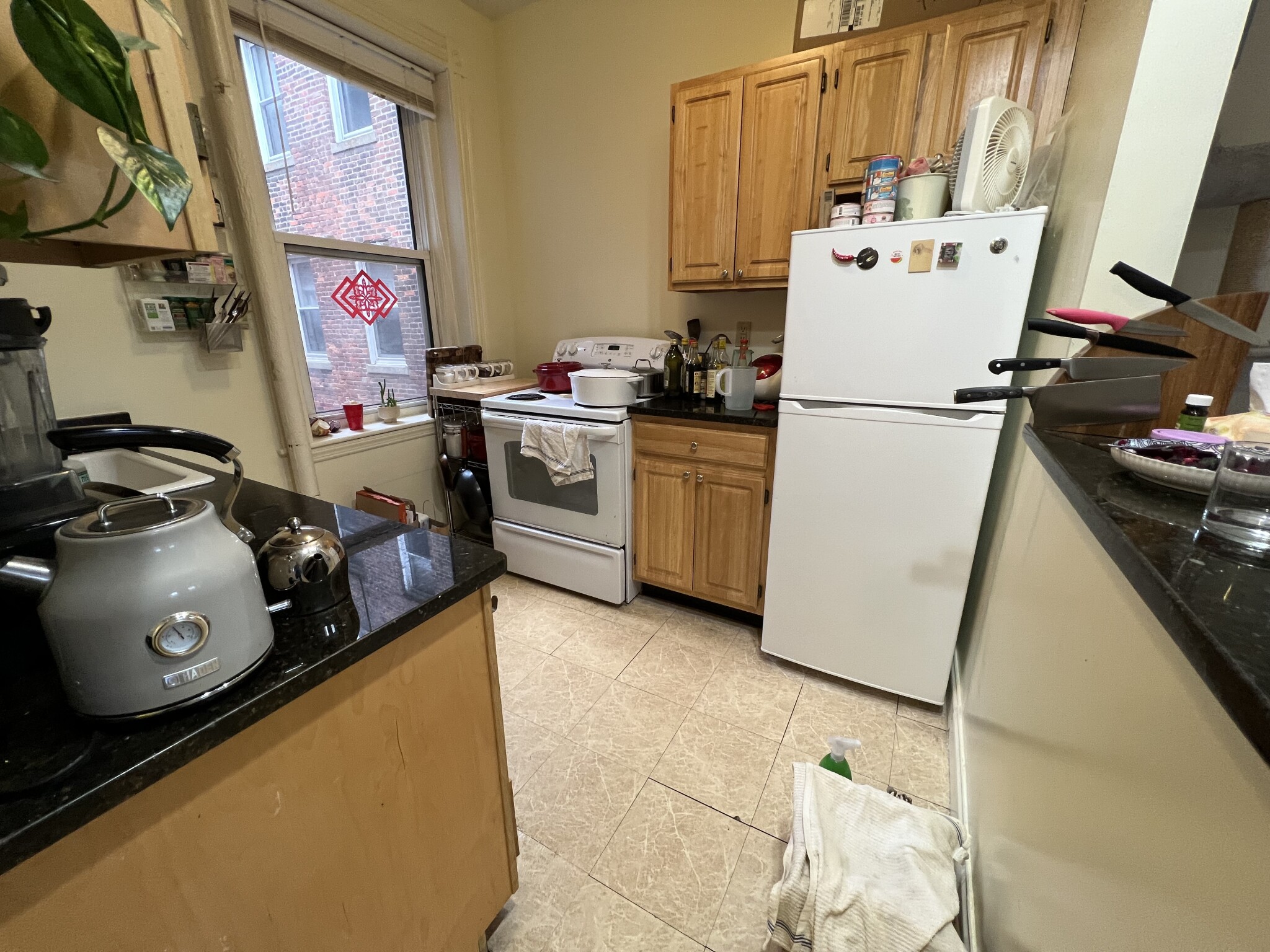 https://ygl-photos.s3.us-west-004.backblazeb2.com/9244W640b876de13e7.jpg