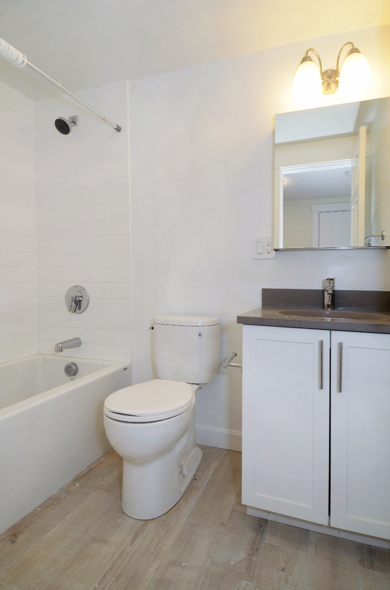 36 Springfield St, South End