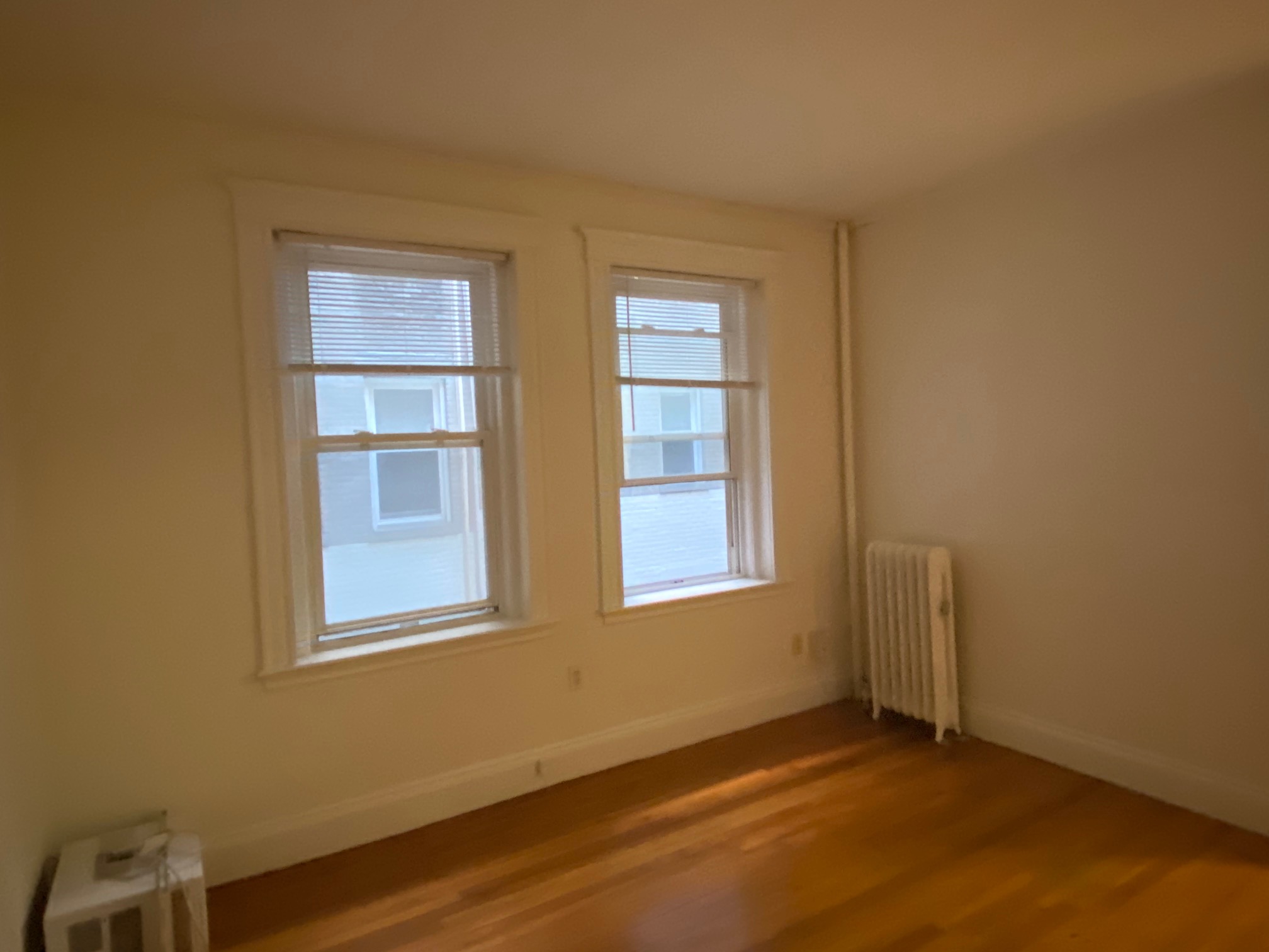 Studio bed, 1 bath apartment for rent at 6 Orkney Rd Unit 5, Brighton — photo 8 of 15