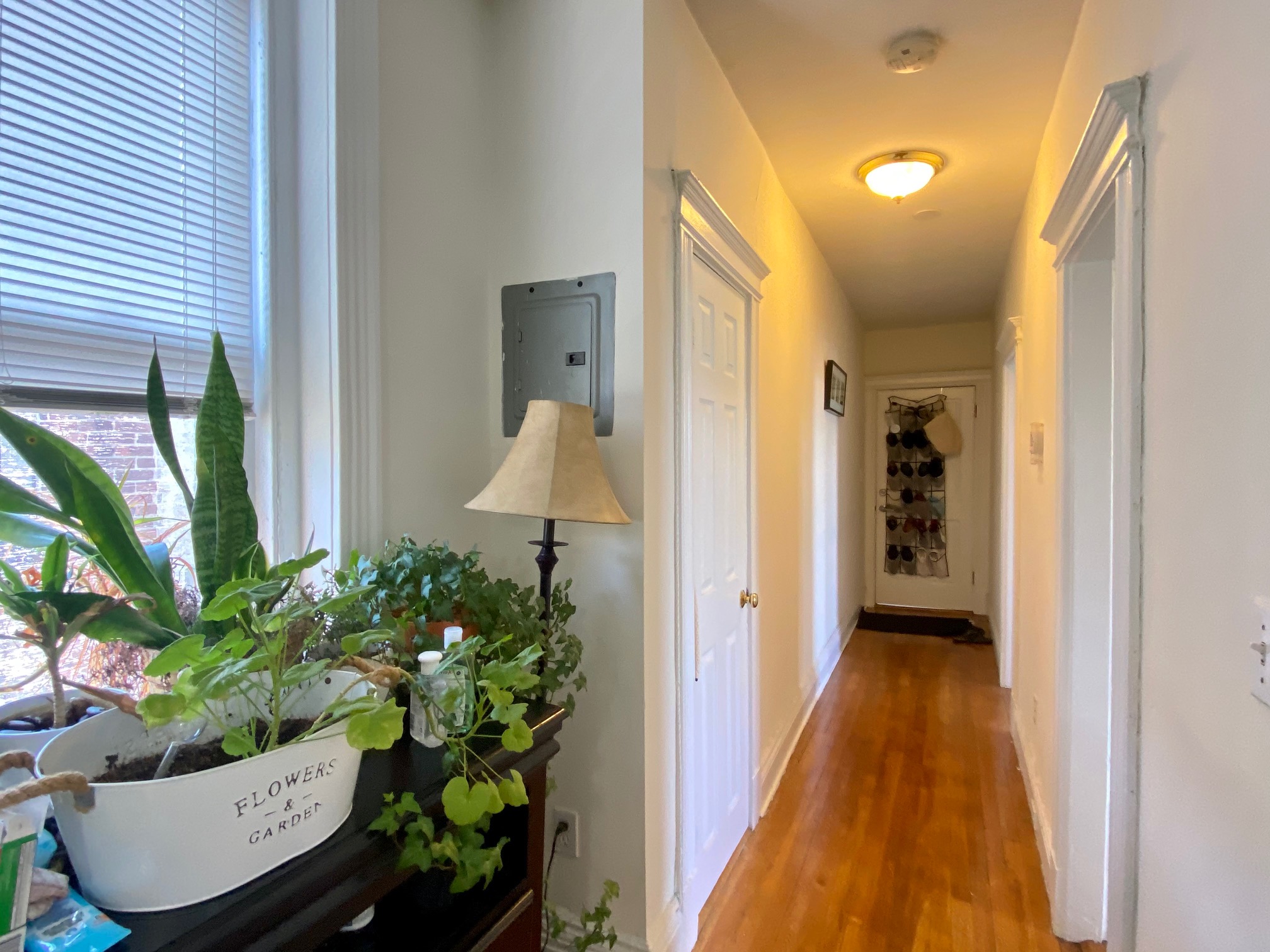 1 bed, 1 bath apartment for rent at 110 Warren St Unit 25, Brighton — photo 27 of 32