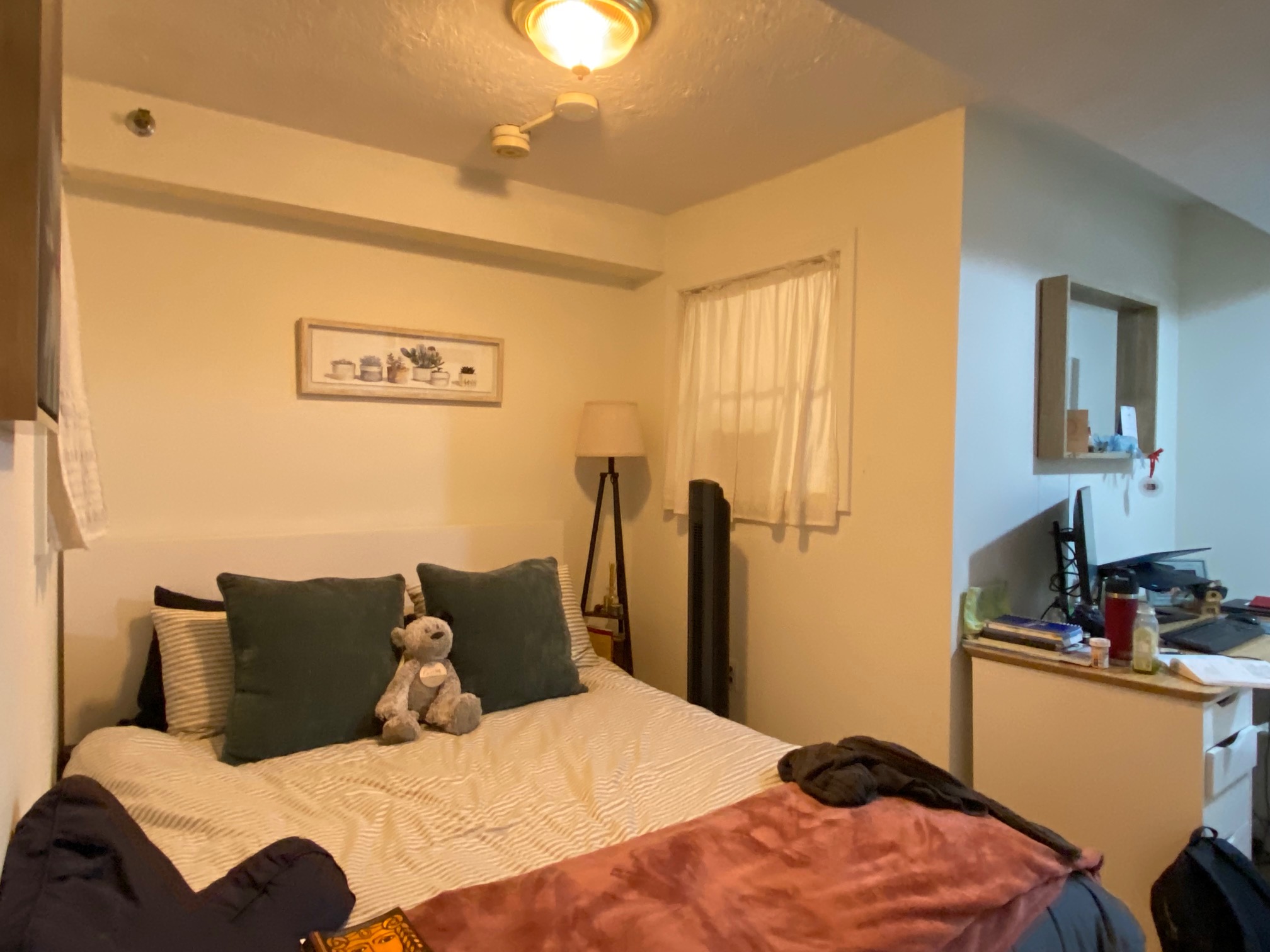 63 Hancock St, Beacon Hill