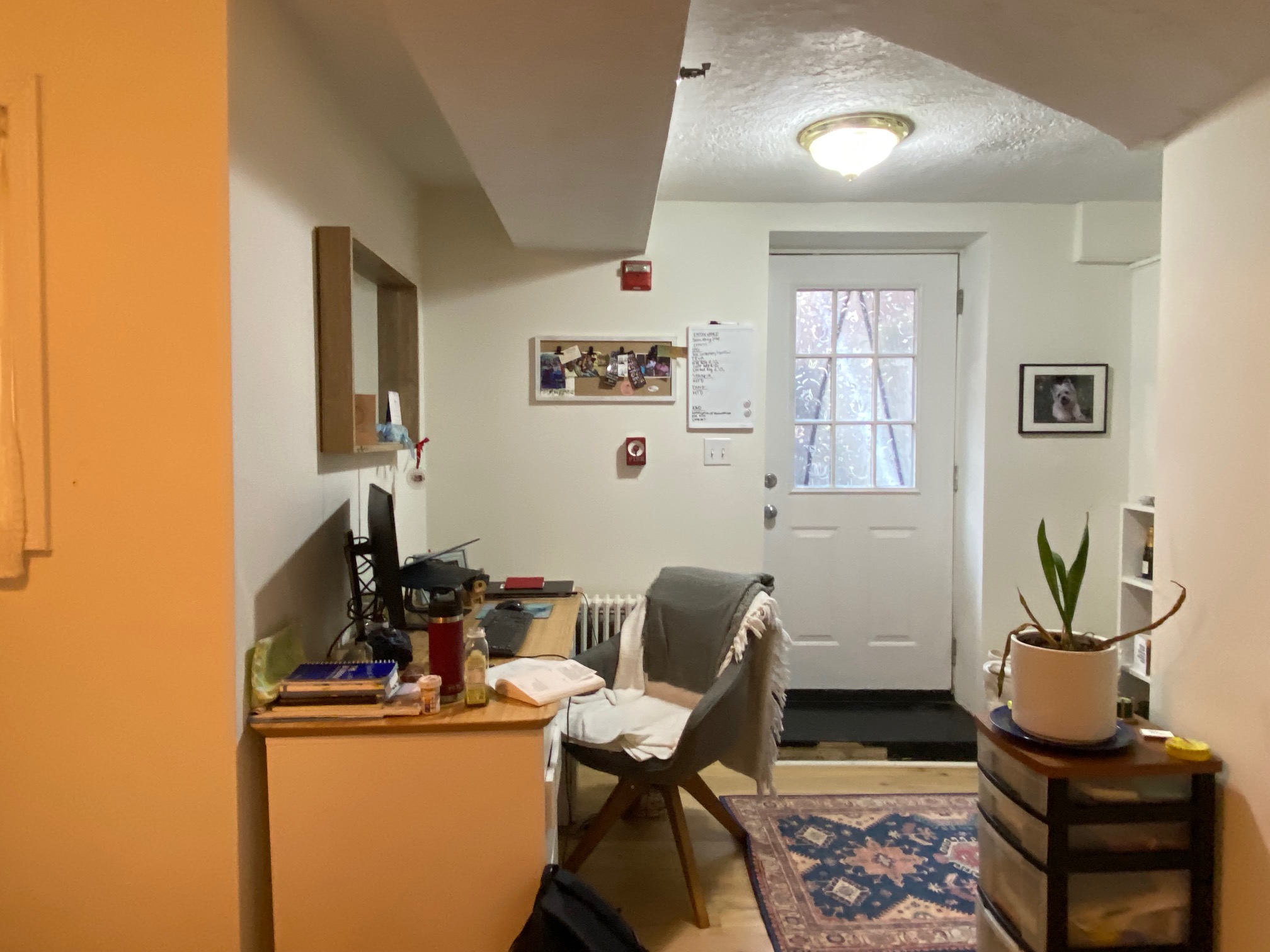 63 Hancock St, Beacon Hill