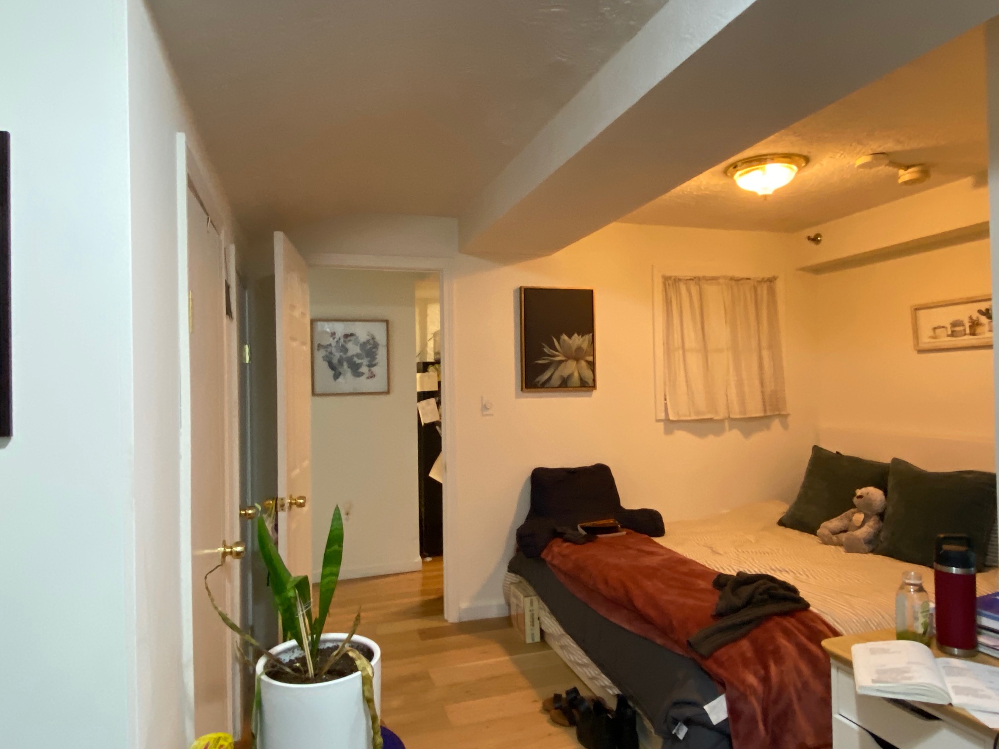 63 Hancock St, Beacon Hill