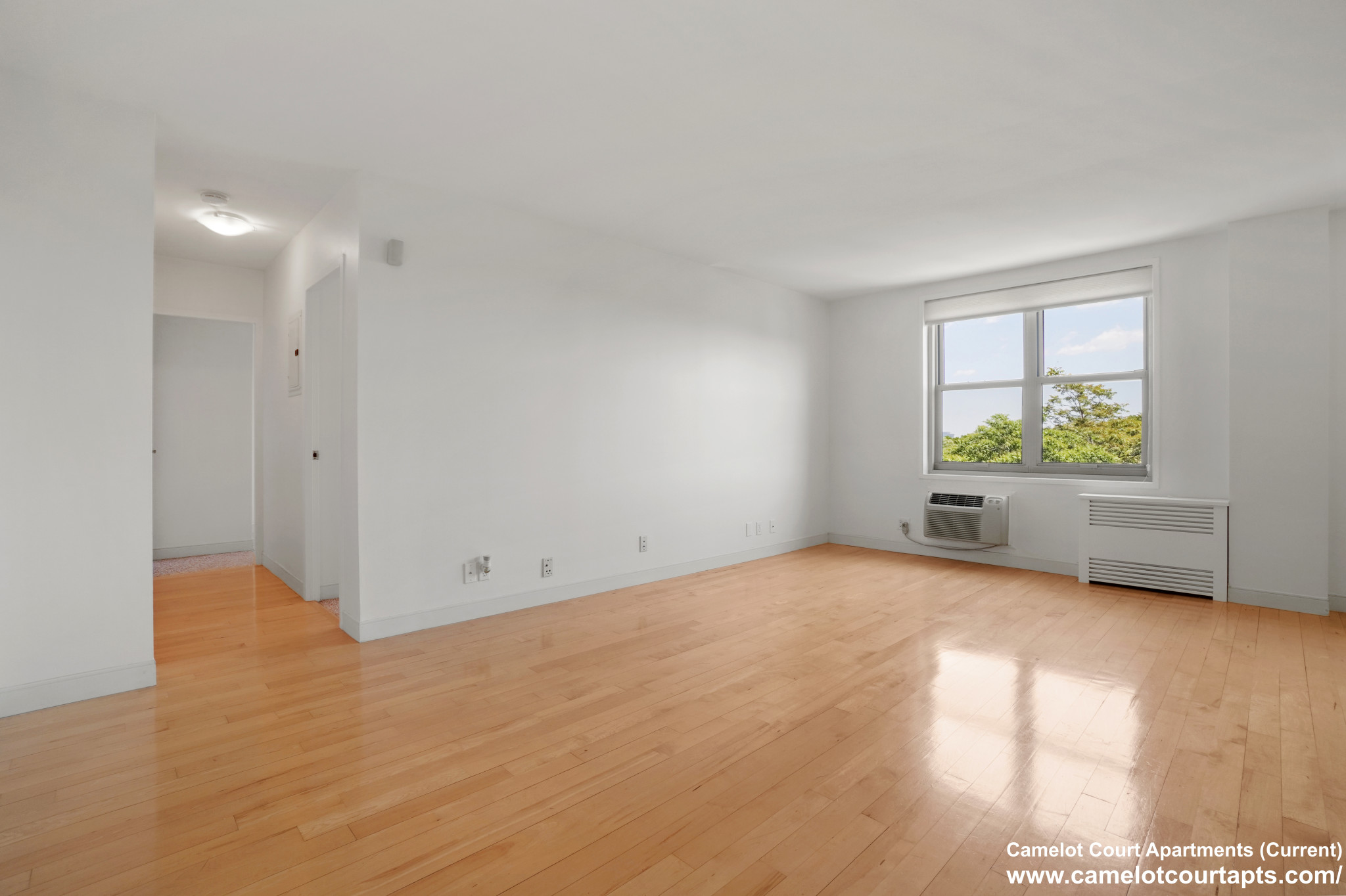 11 Camelot Ct, Brighton