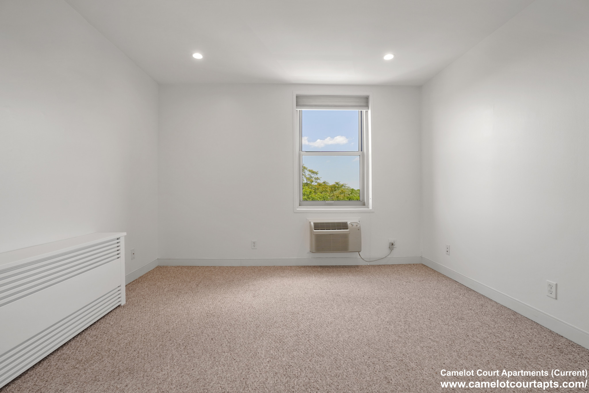 11 Camelot Ct, Brighton