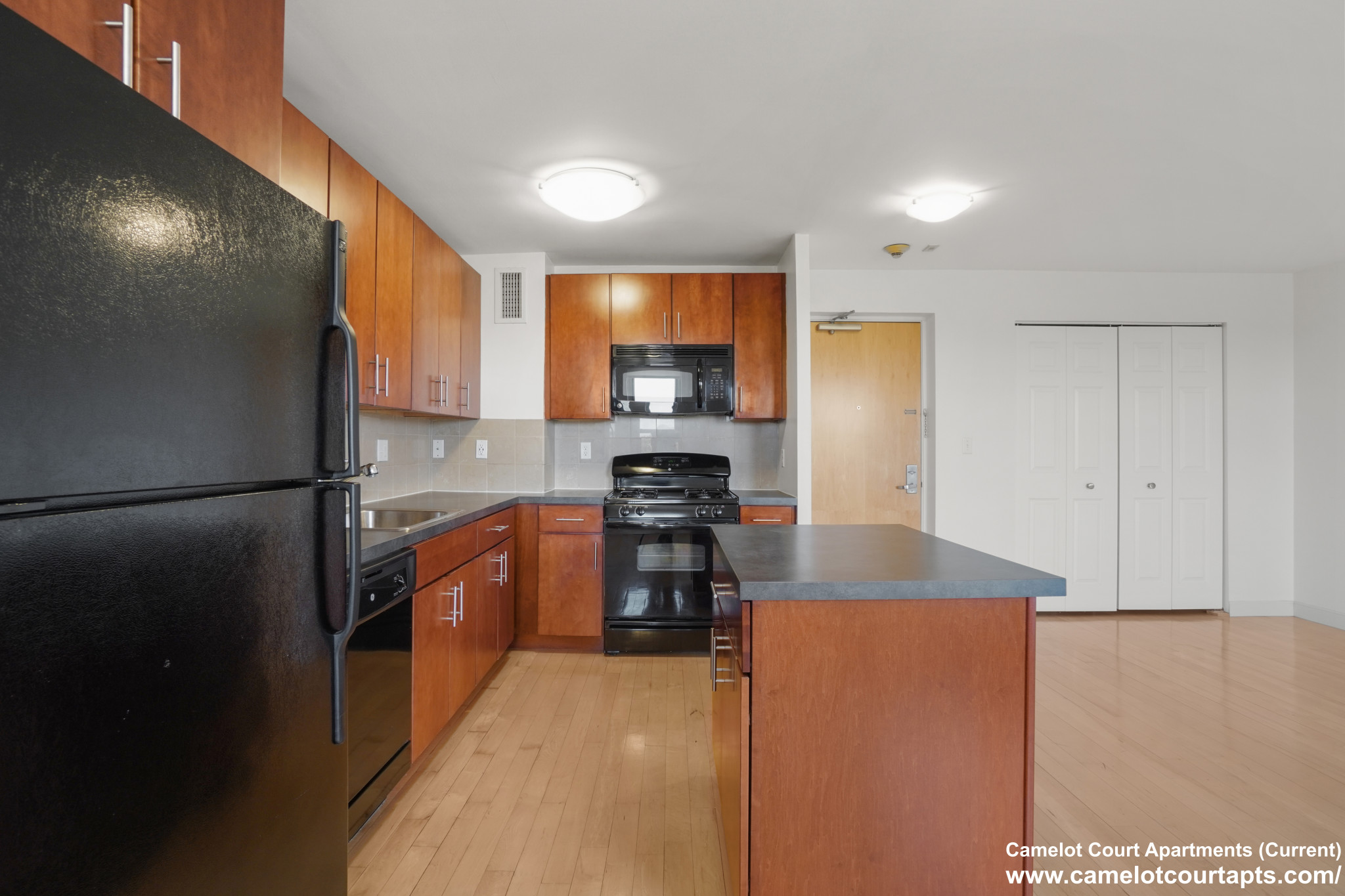 11 Camelot Ct, Brighton