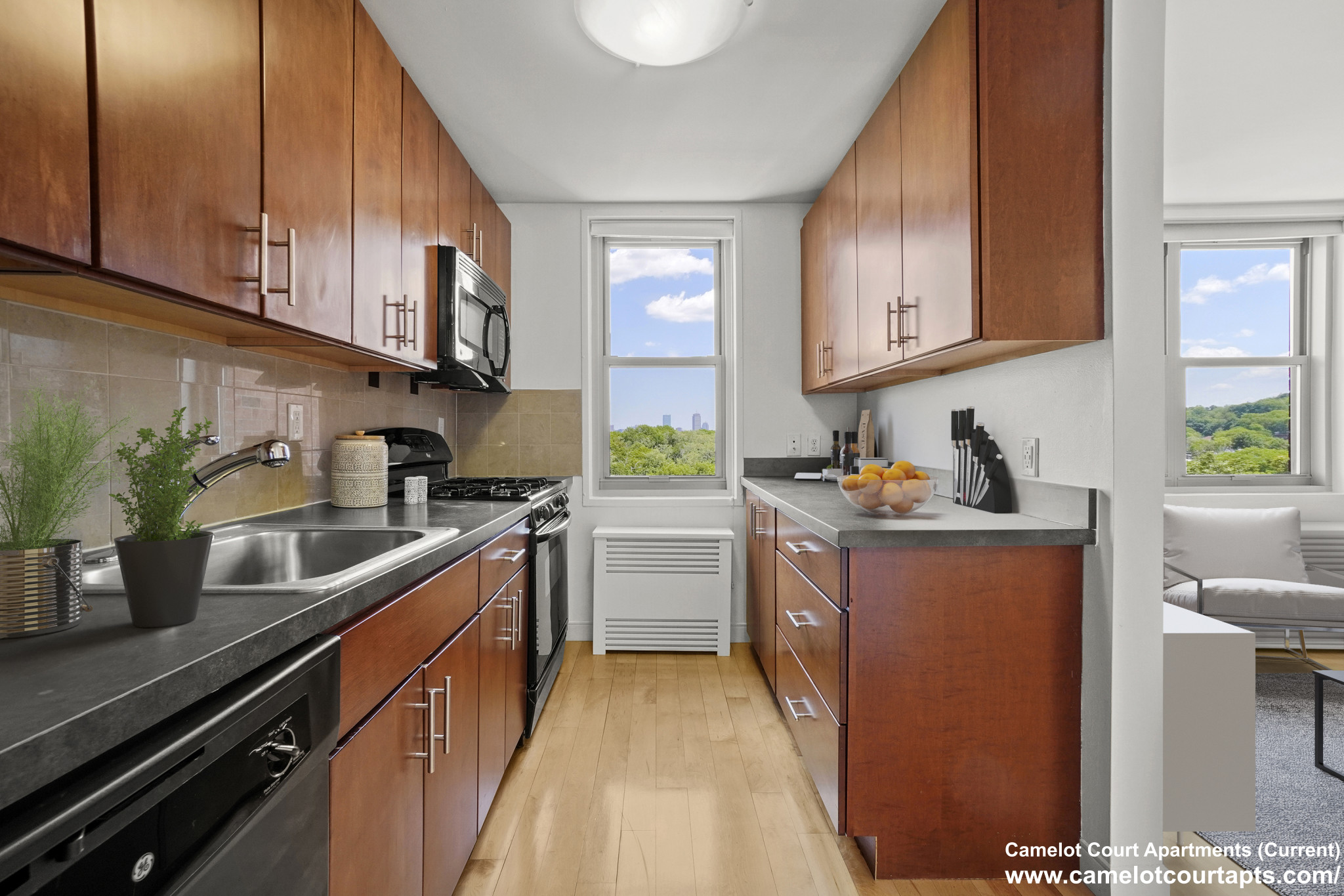 Concept Properties
