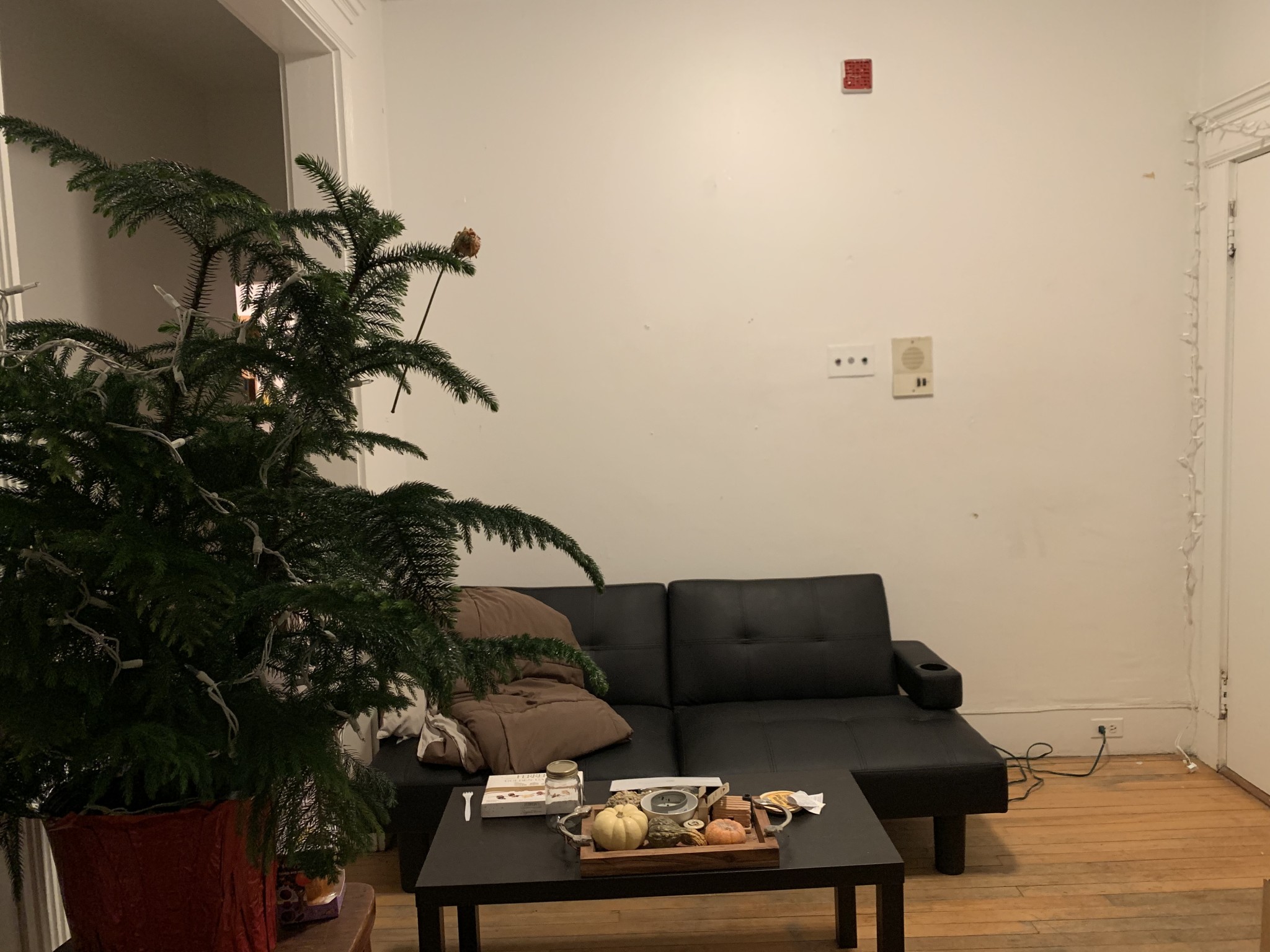 Photos of apartment on Spofford Rd.,Boston MA 02134